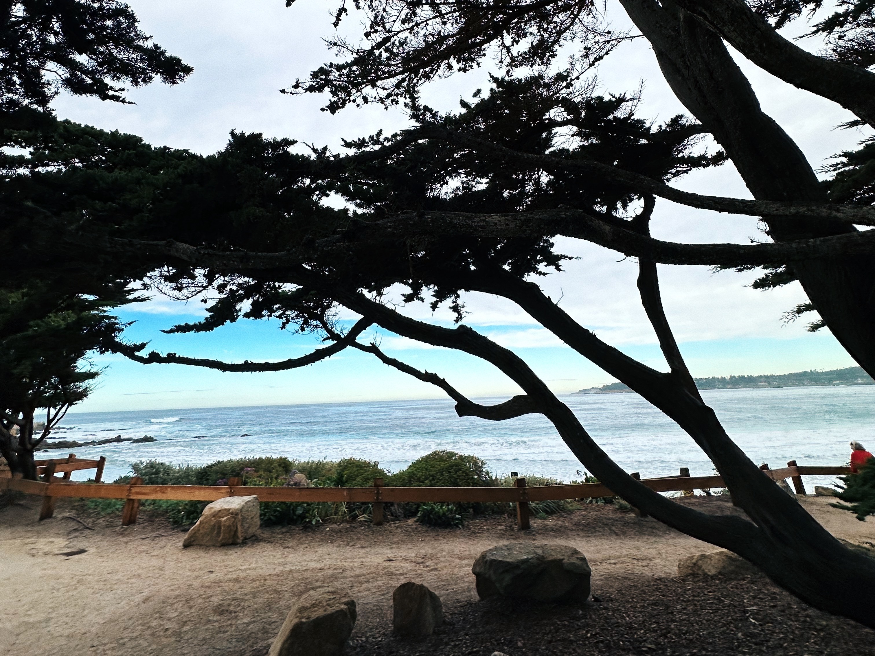 A coastal scene is viewed through silhouetted tree branches under a cloudy sky.