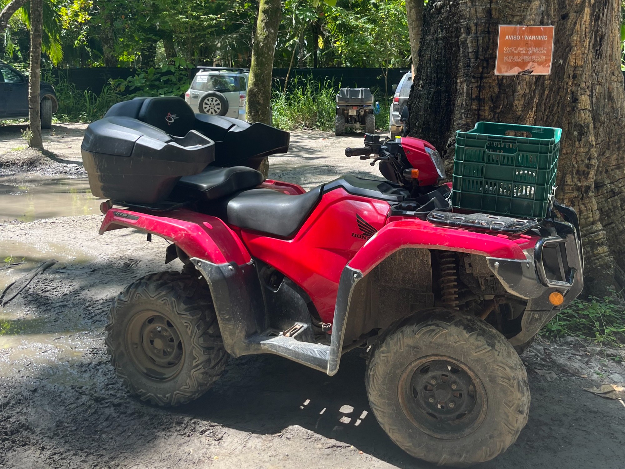 A picture of a red ATV with a basket on the front parked in front of the forest.
