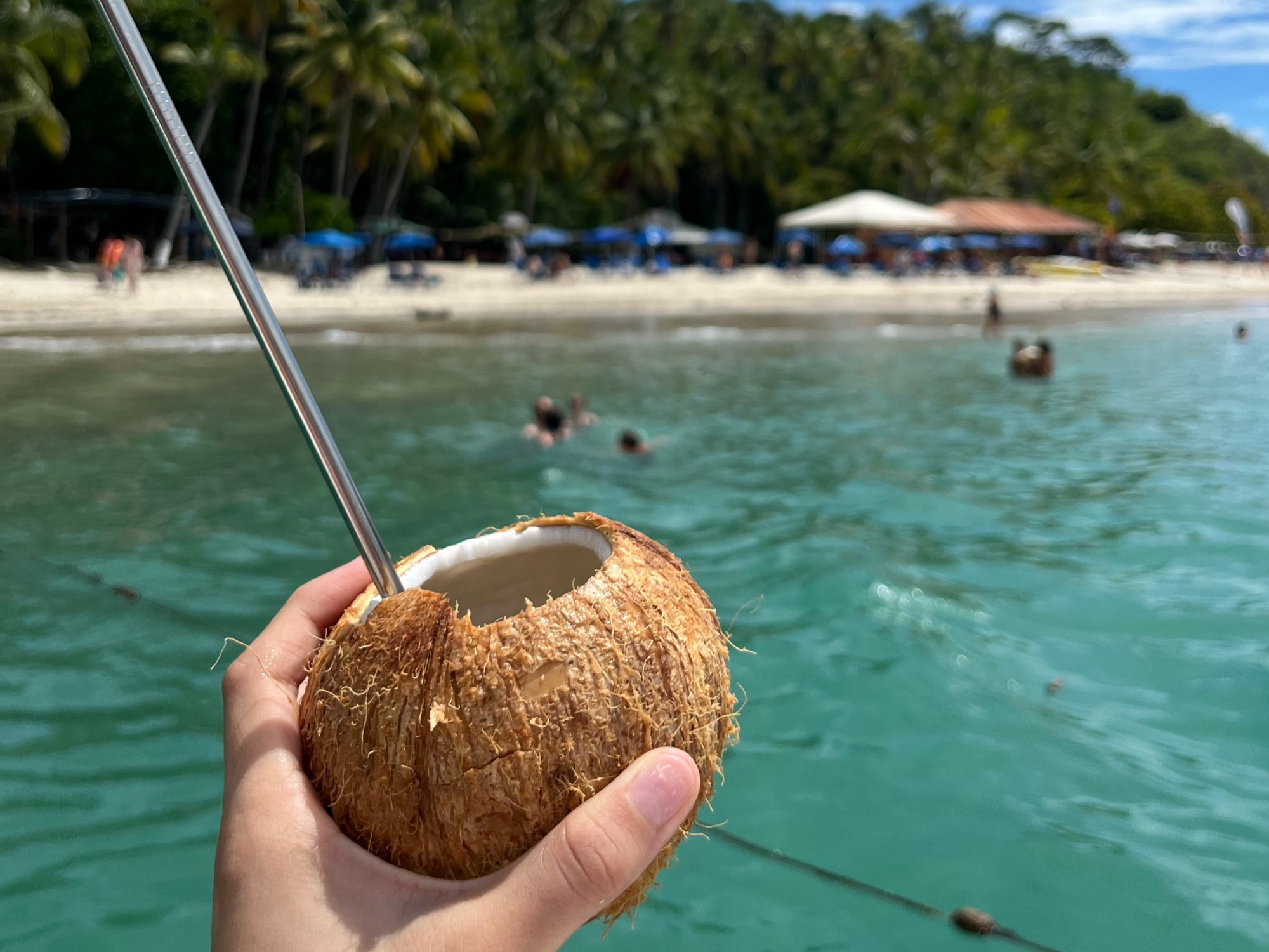 A hand holding a coconut drink with a straw with the ocean and beach in the background during the day.