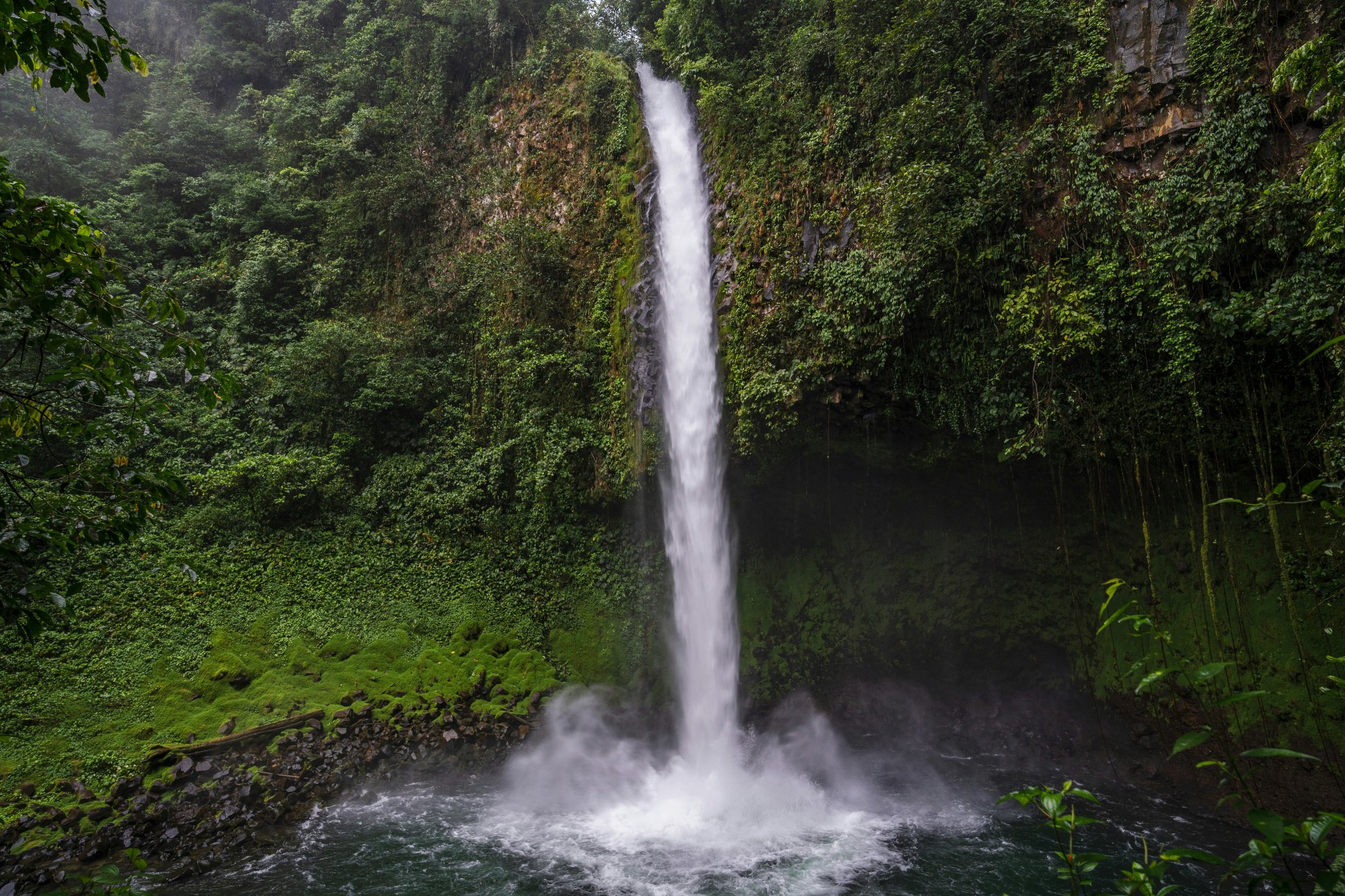 A view of the Lafortuna Waterfall, a tall waterfall spilling into a river surrounded by a lush green forest.