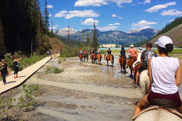Horseback riding trip to the Lake Agnes Tea House as a tour treks through gentle streams facing blue hills under a clear sky.