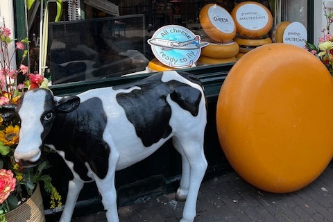 A cow sculpture and a cheese sculpture outside on the street