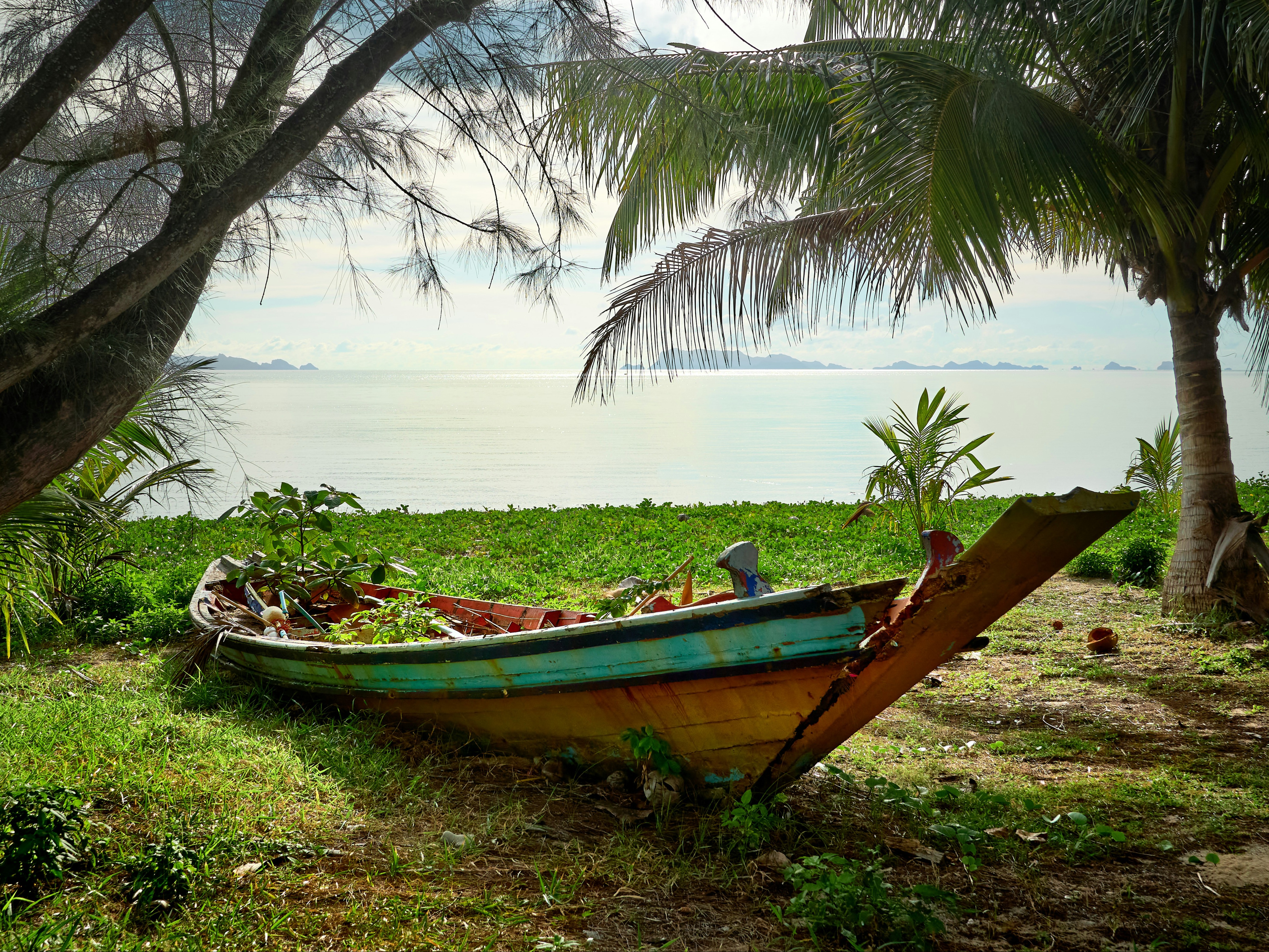 The image shows an old boat on a grassy shore with palm trees, overlooking a calm sea and distant islands.