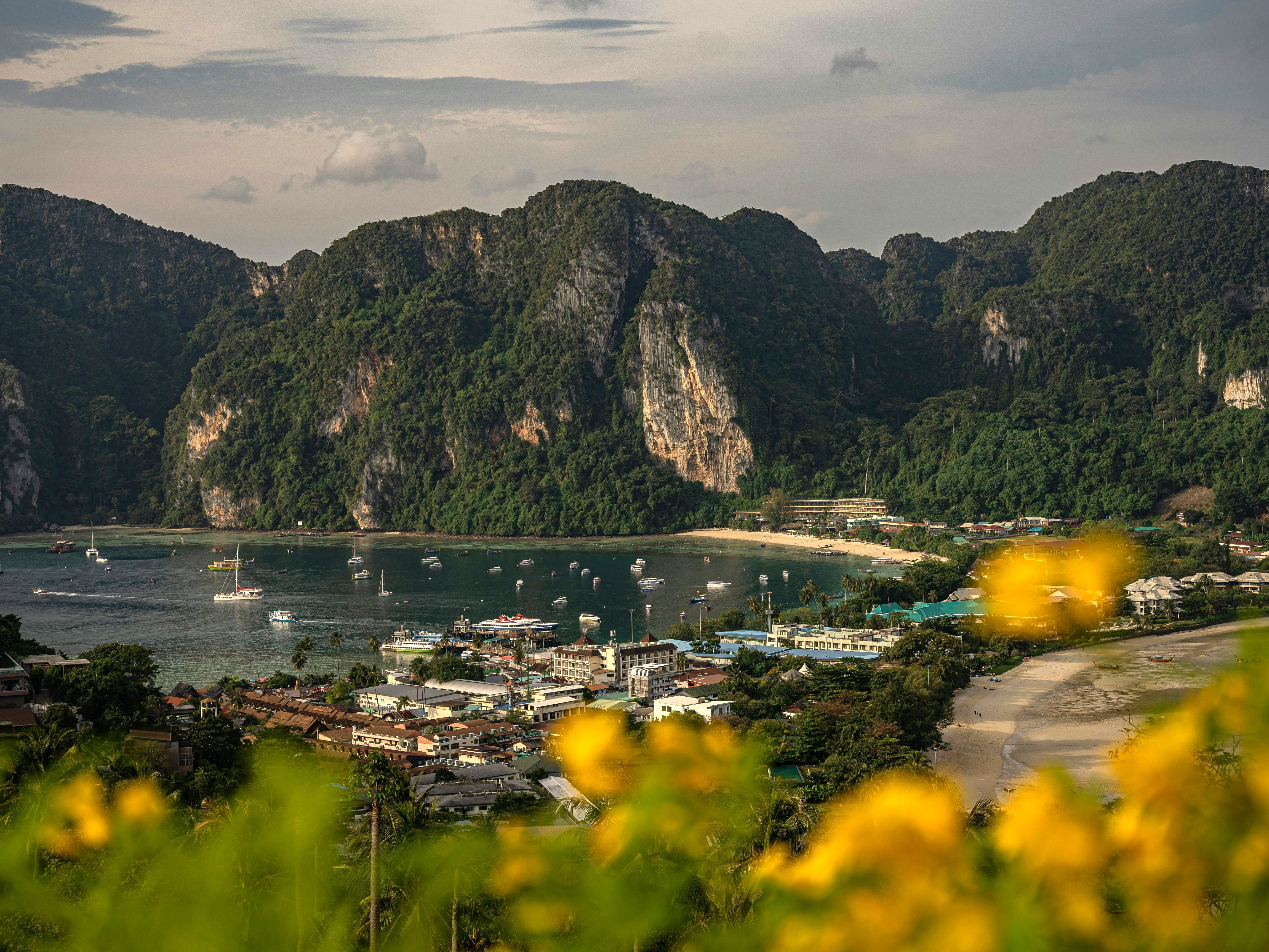 A scenic coastal town nestled between green hills with yellow flowers in the foreground.