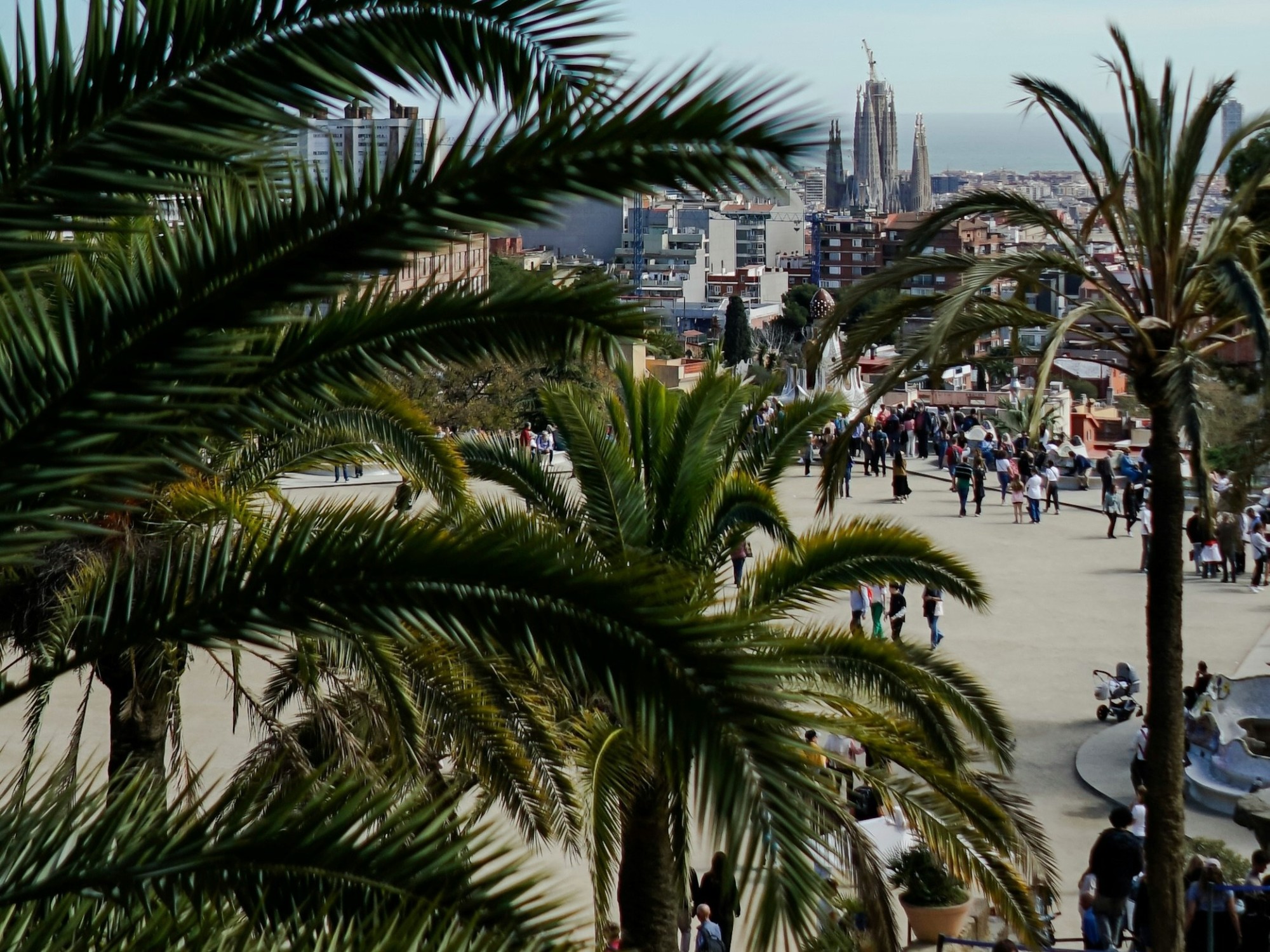 People walking on a beach near palm trees.