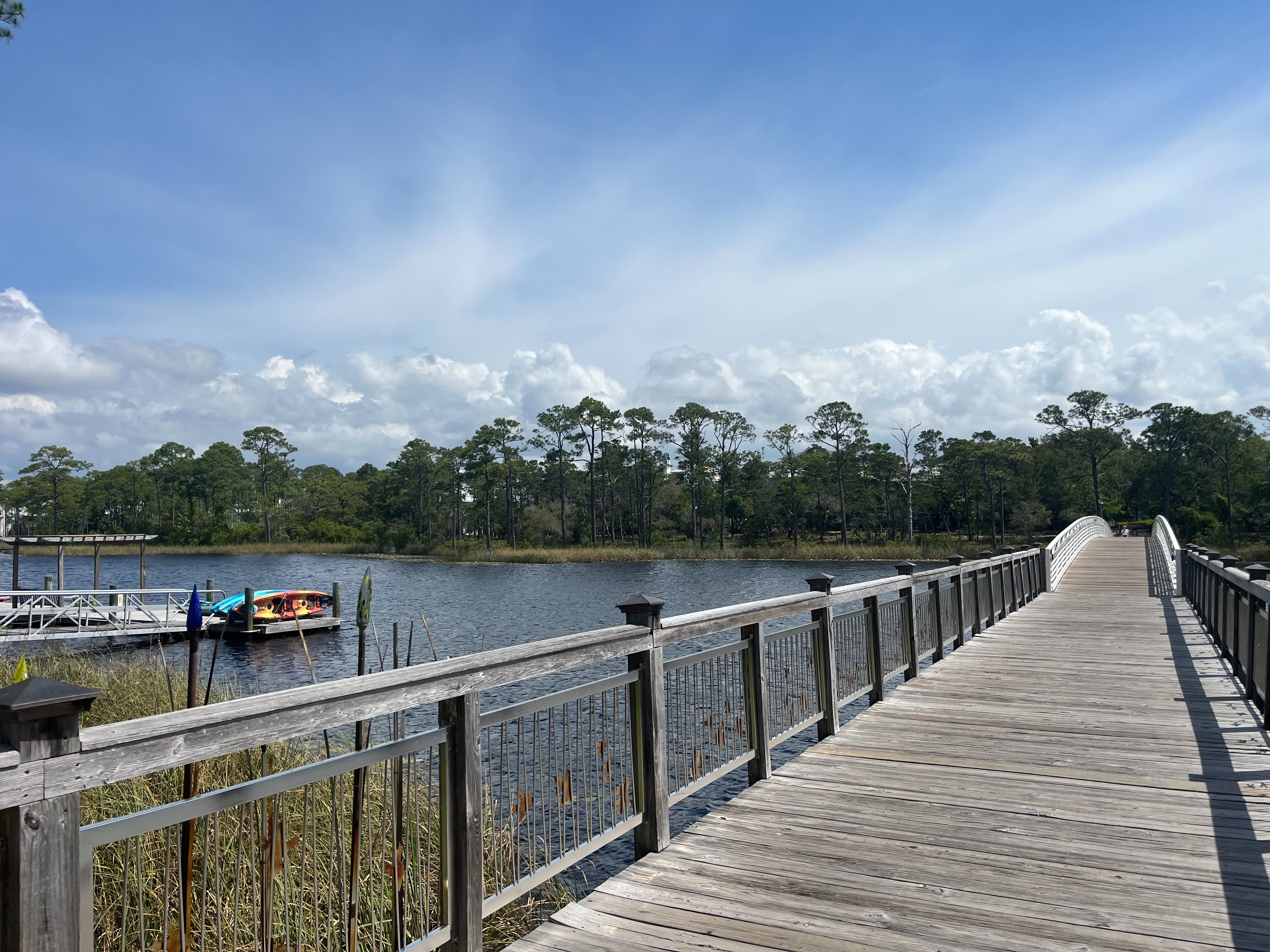 Biking-in-watercolor-florida-travel-guide