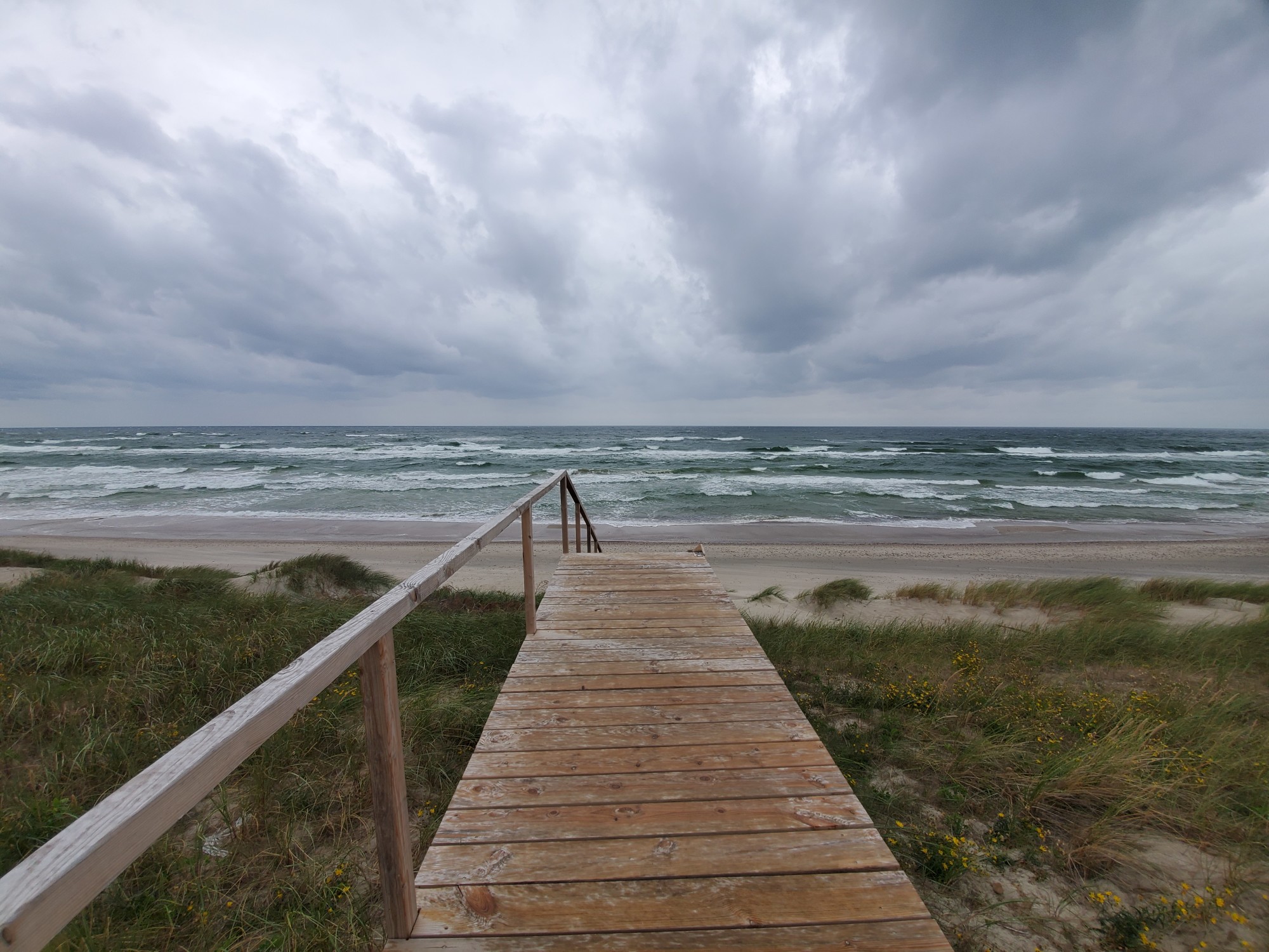 Pathway to a beach.