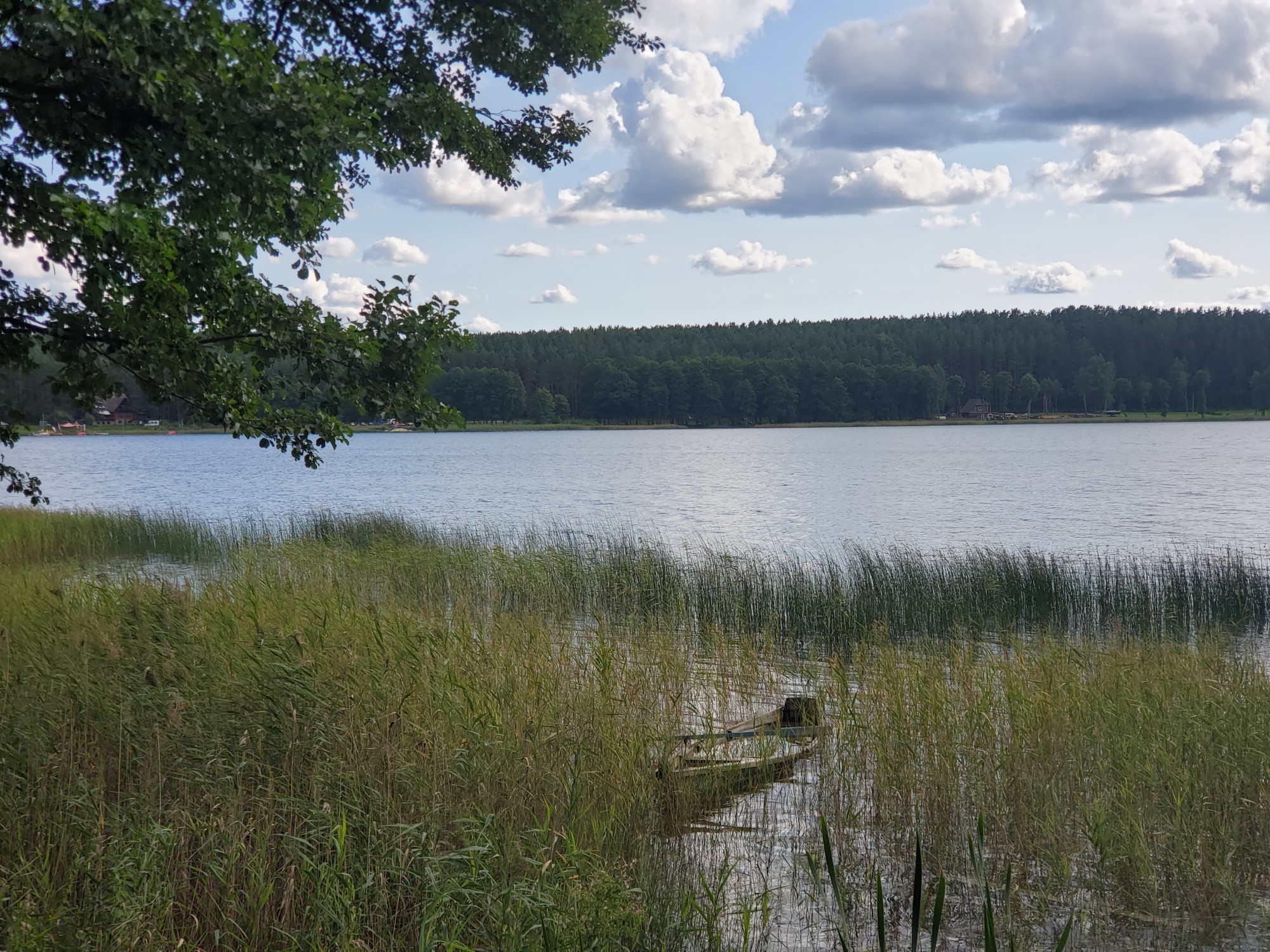A lake surrounded by trees and grass during the daytime