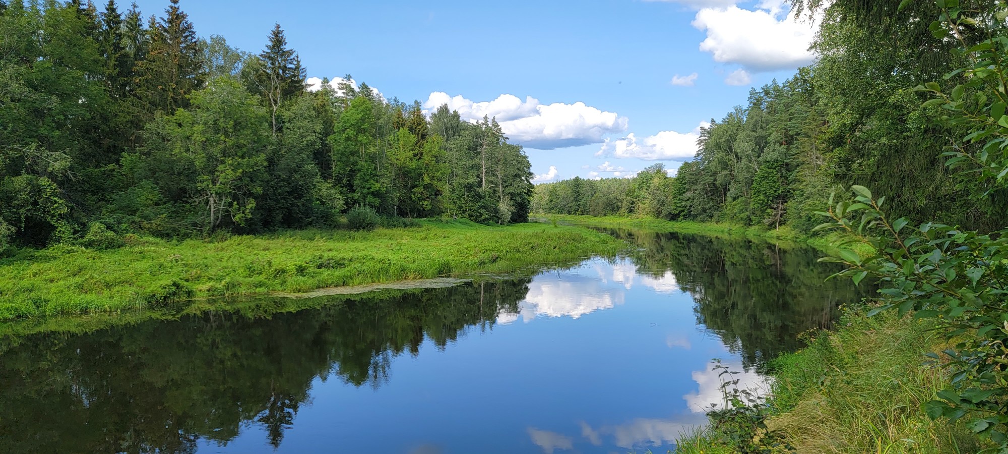 Lake surrounded by green trees.