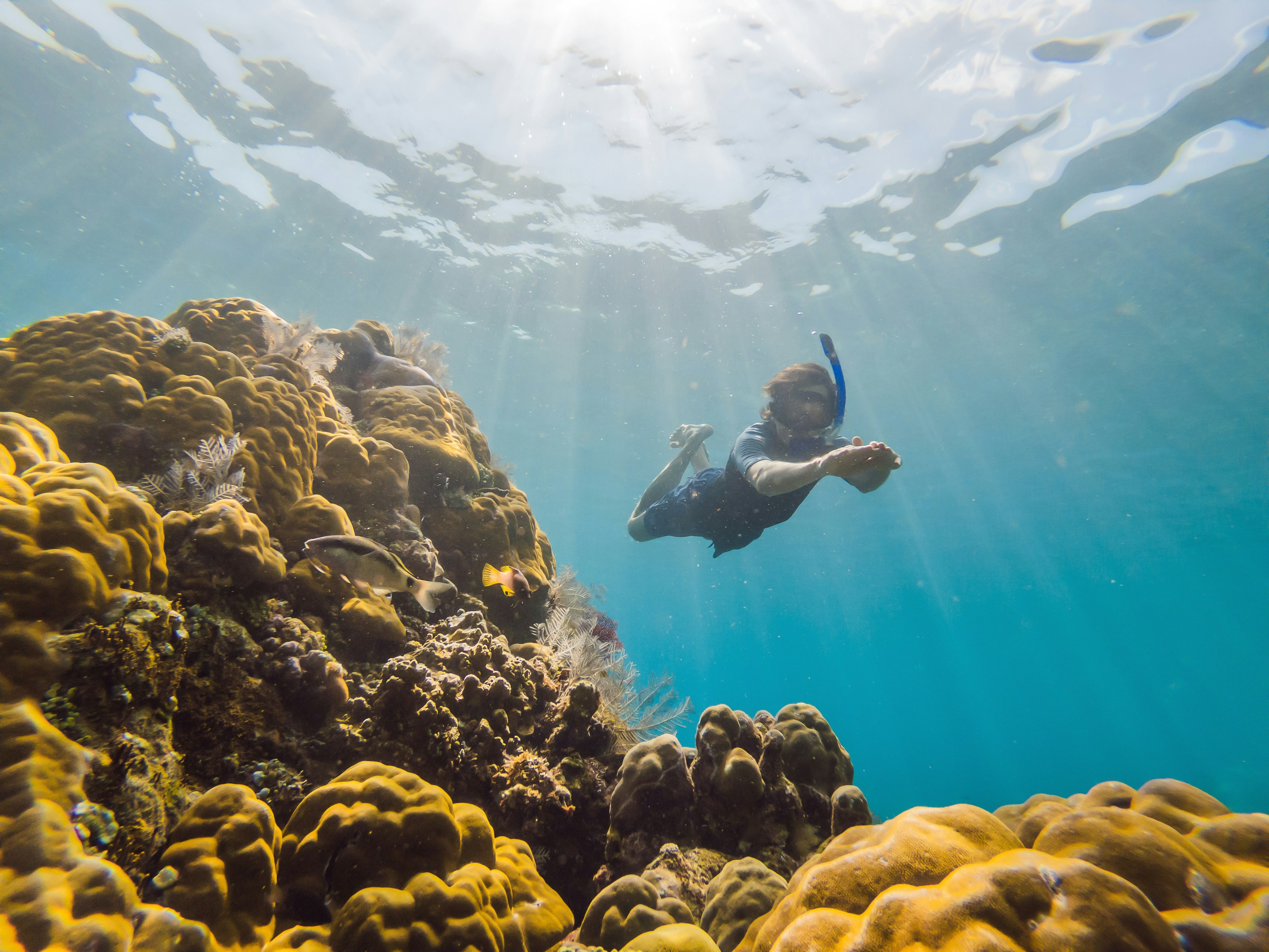 An underwater scene with a diver near a coral reef illuminated by sunbeams penetrating the water.