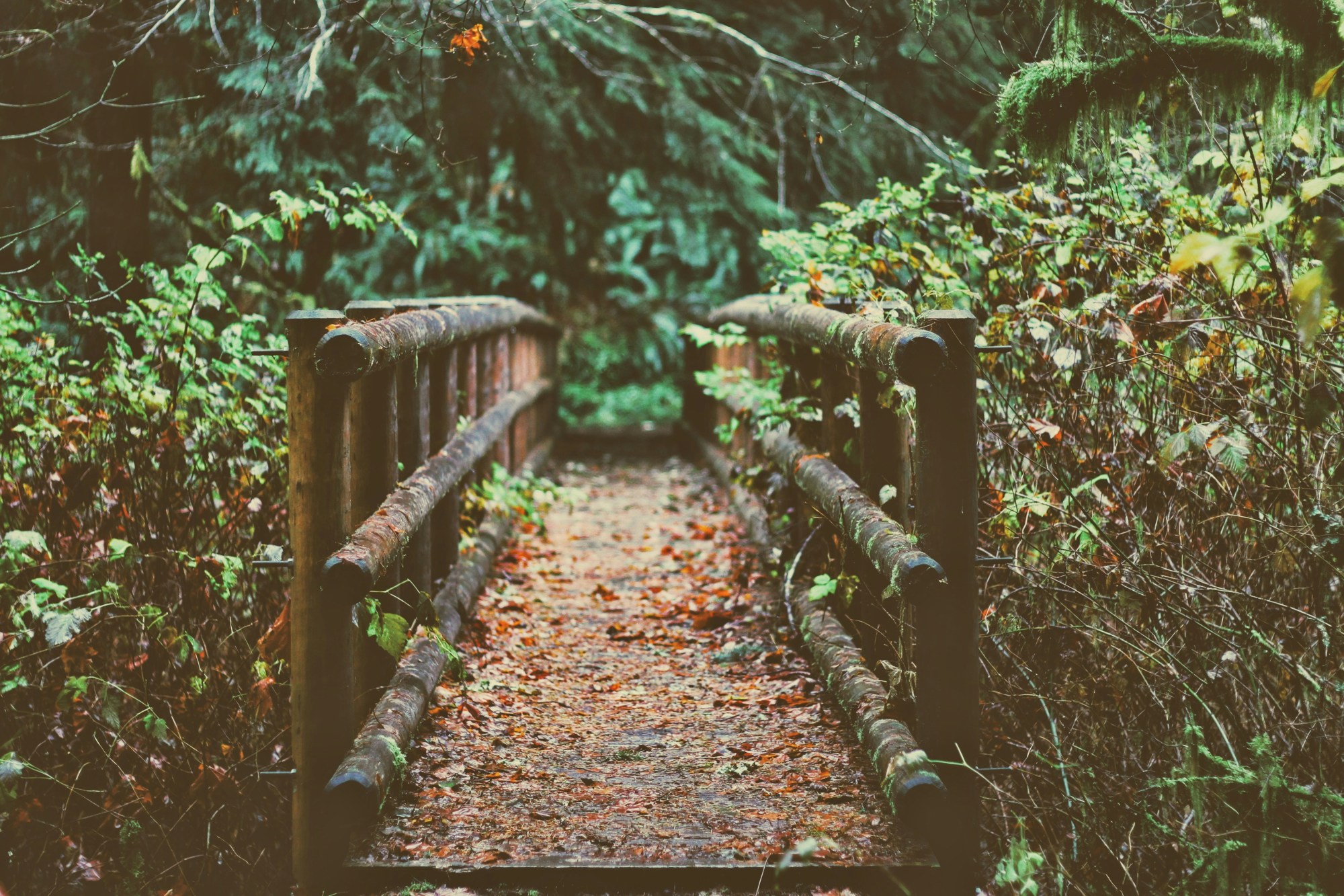 trail-kentucky-travel-guide