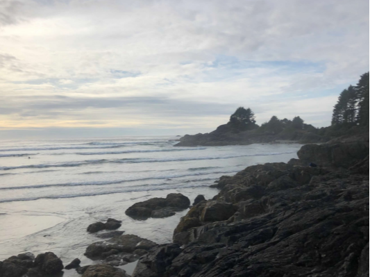 The image shows a serene coastal scene with gentle waves, a cloudy sky and a rocky shoreline flanked by trees.
