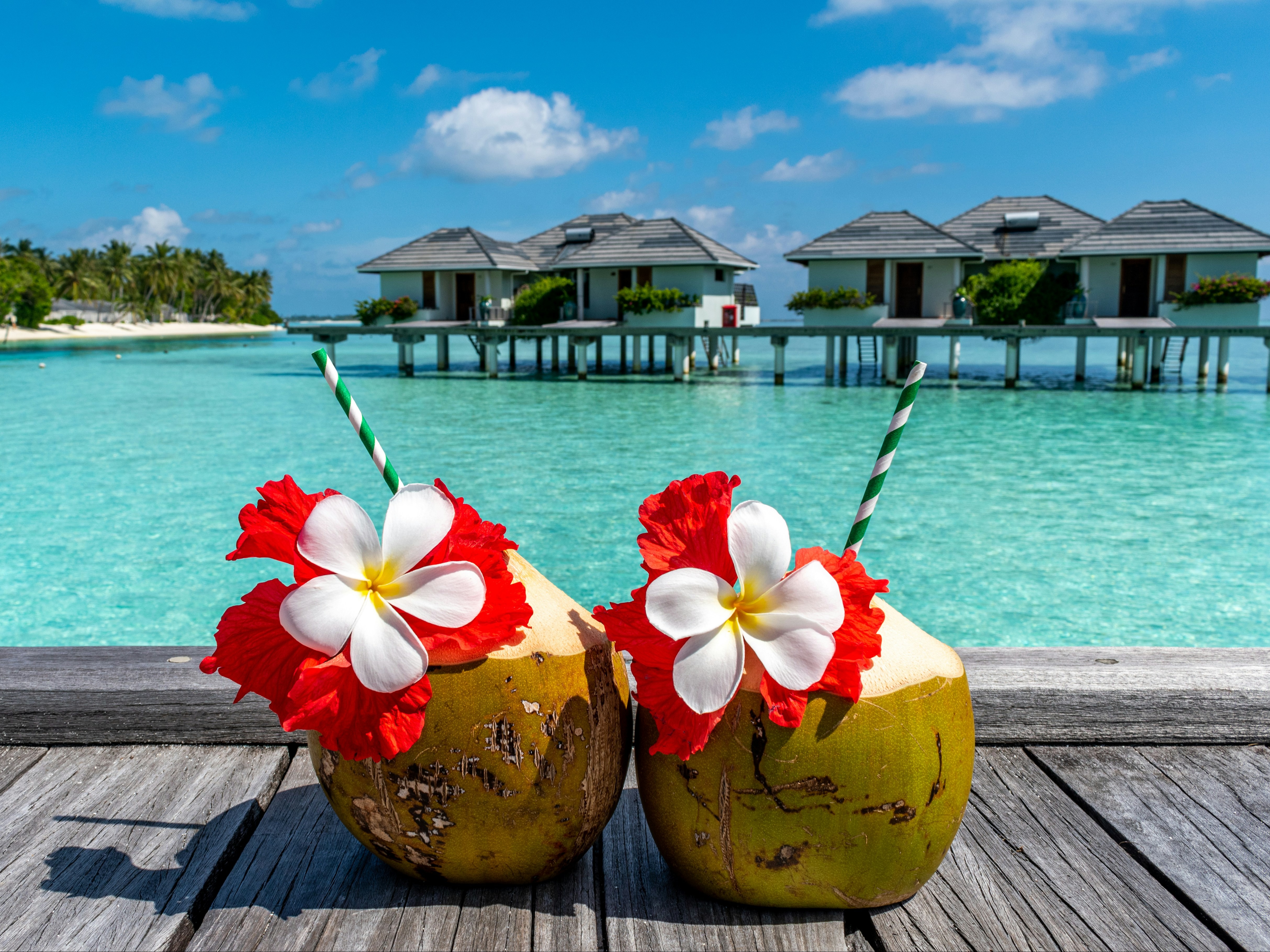 Two coconut drinks with red flowers on a wooden surface, with overwater bungalows and a turquoise sea in the background.