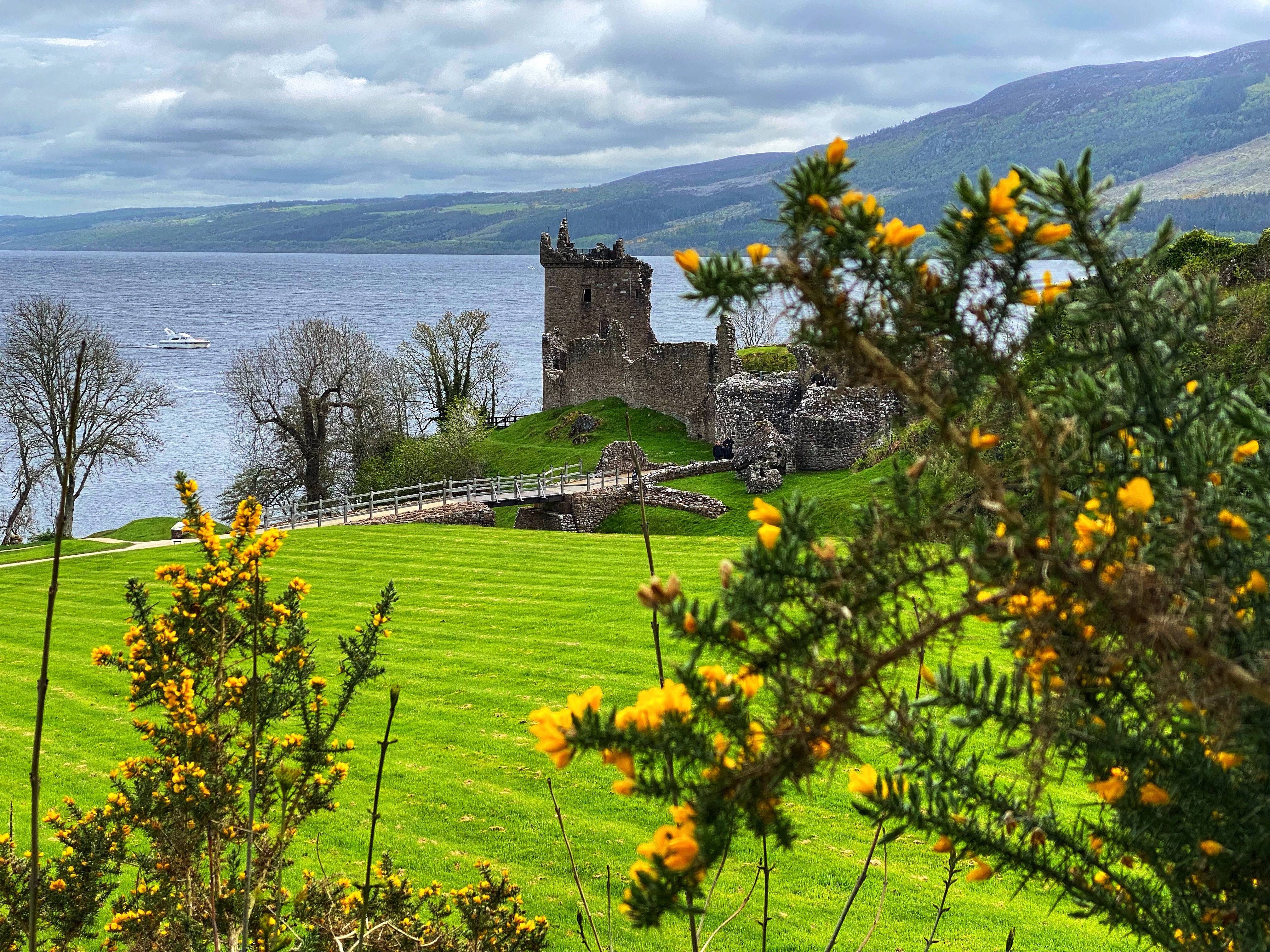 A ruined castle overlooks a lake with mountains in the background and vibrant greenery in the foreground.