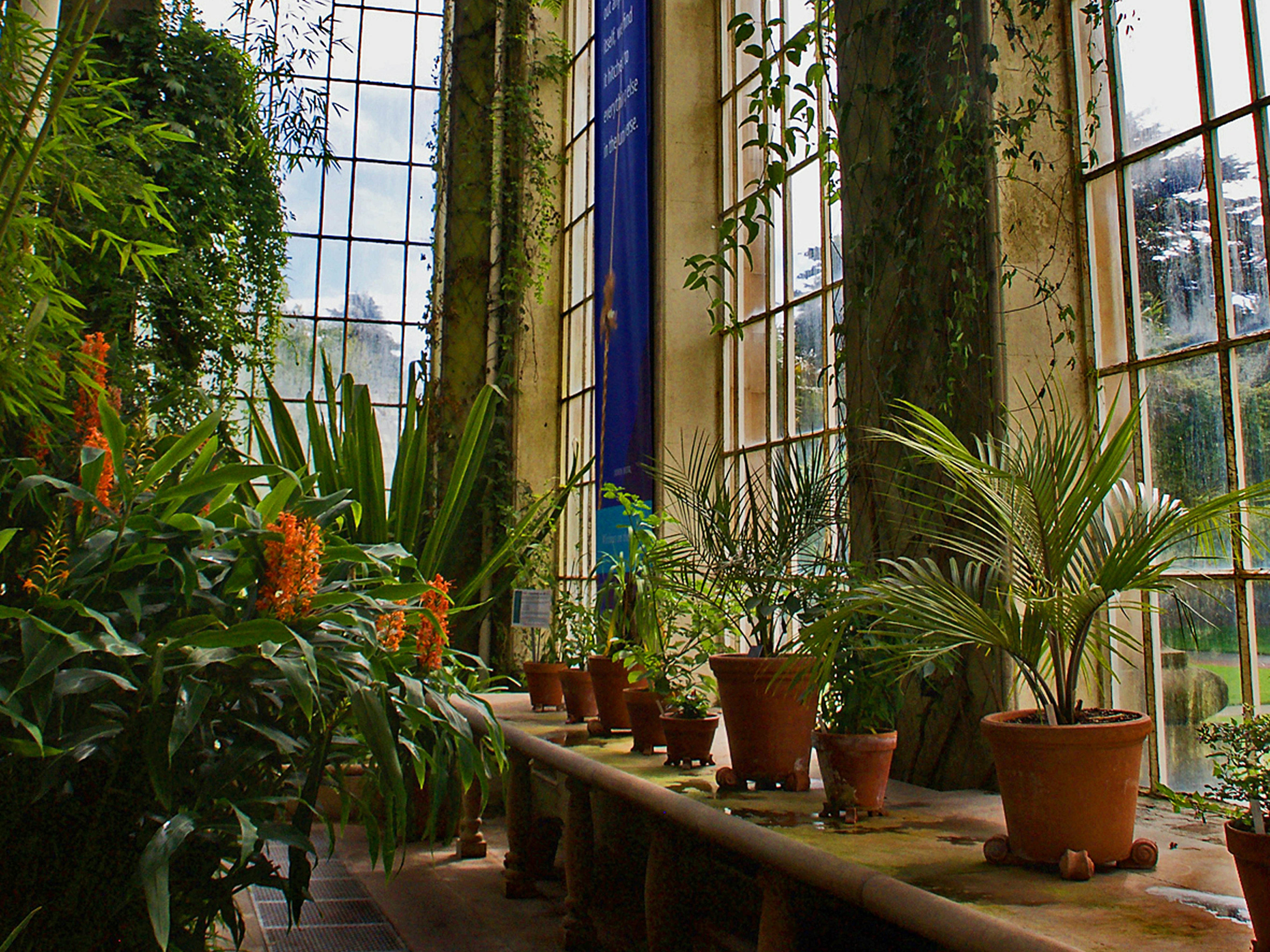 Green plants on brown clay pots