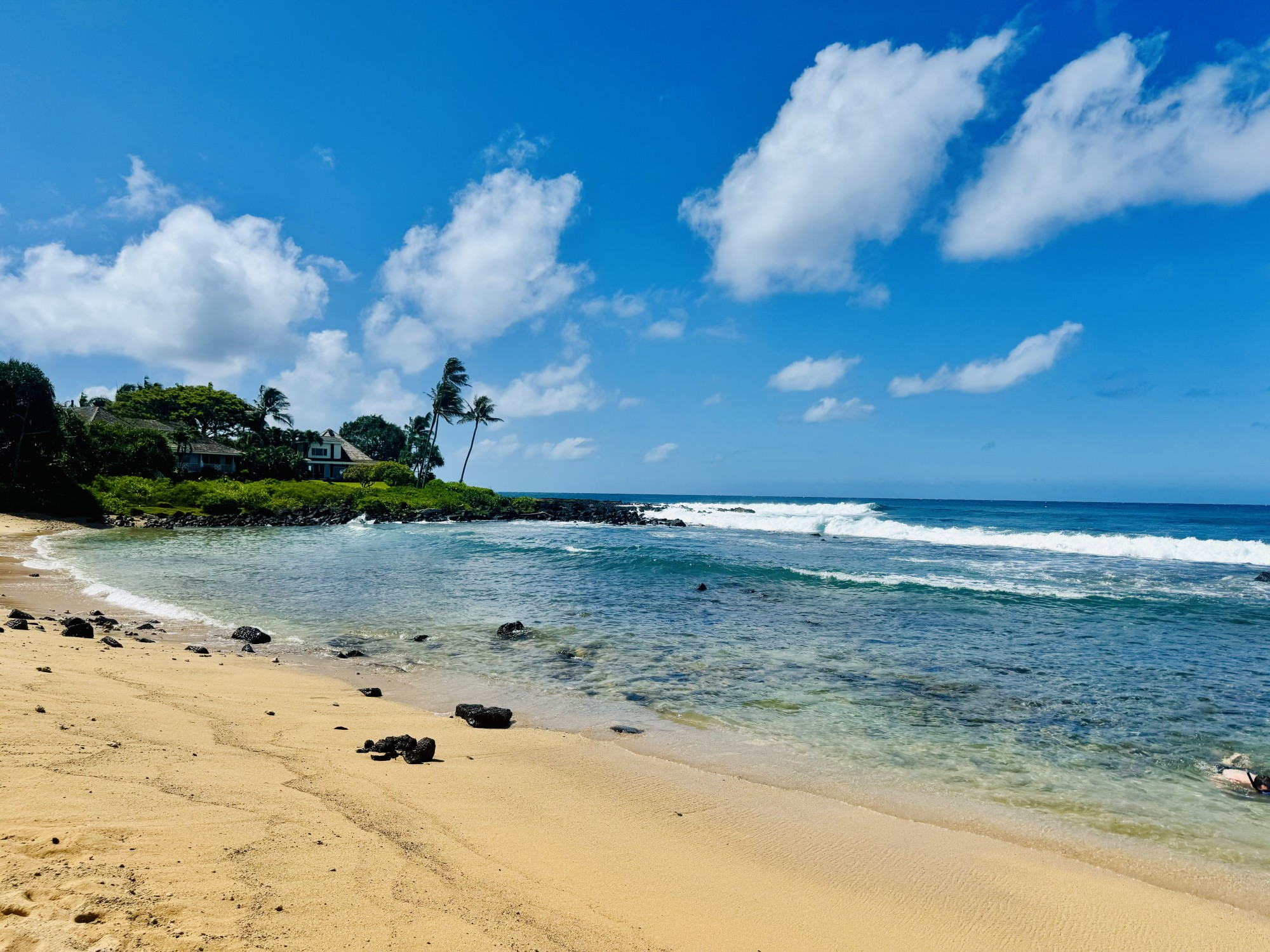 Beach with palm trees and a sunny sky full of clouds.