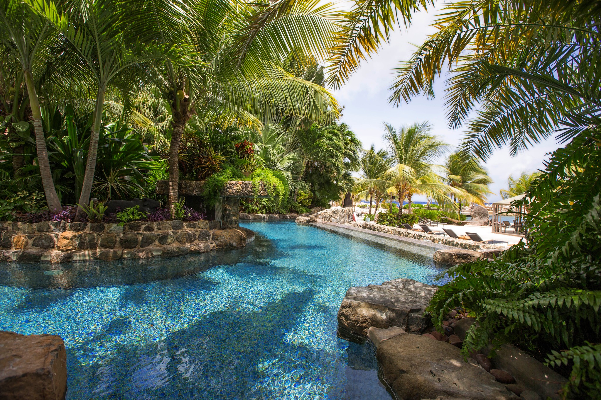 A swimming pool area between trees