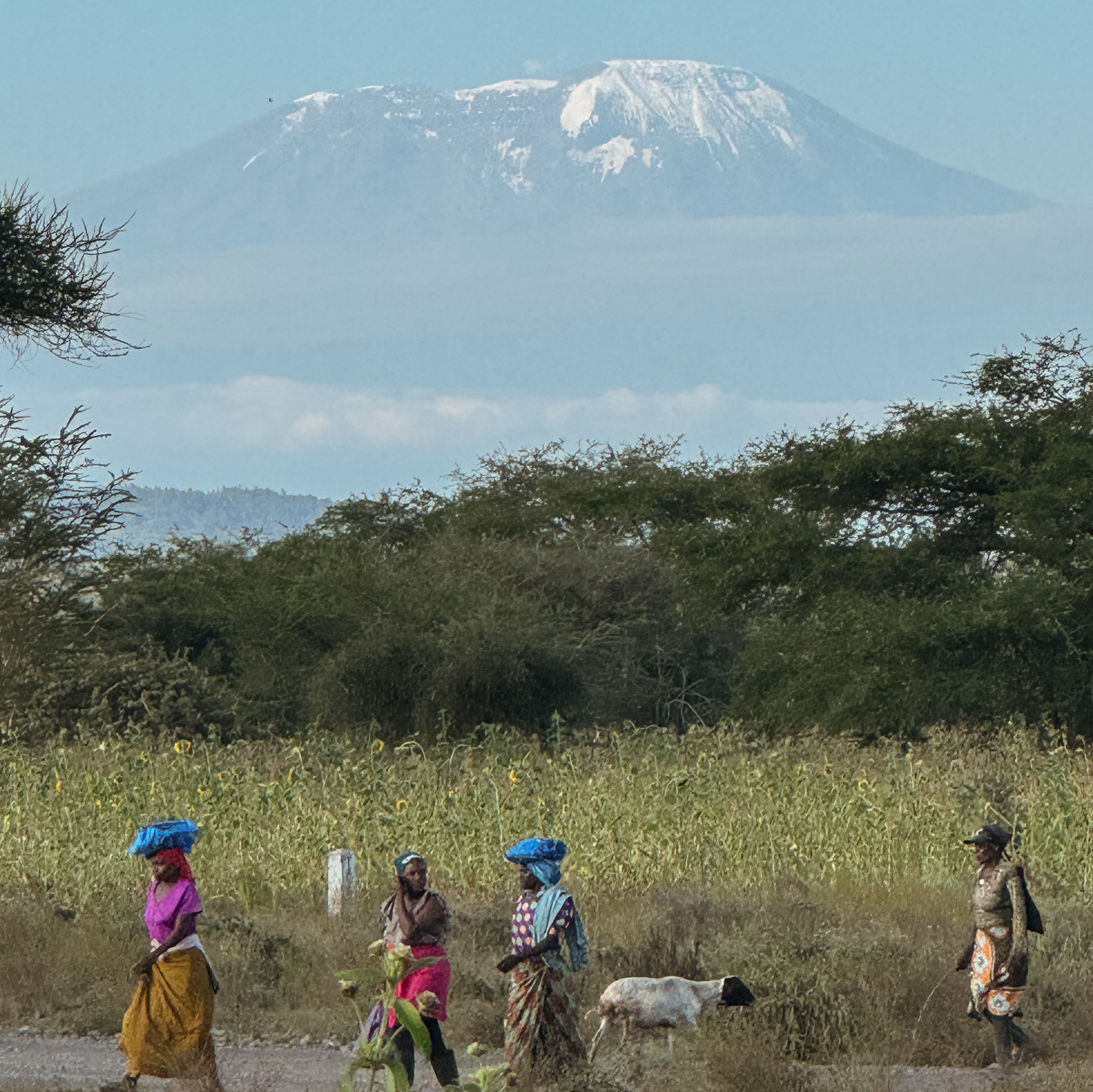 A group of people walking in the foreground of a beautiful mountain view
