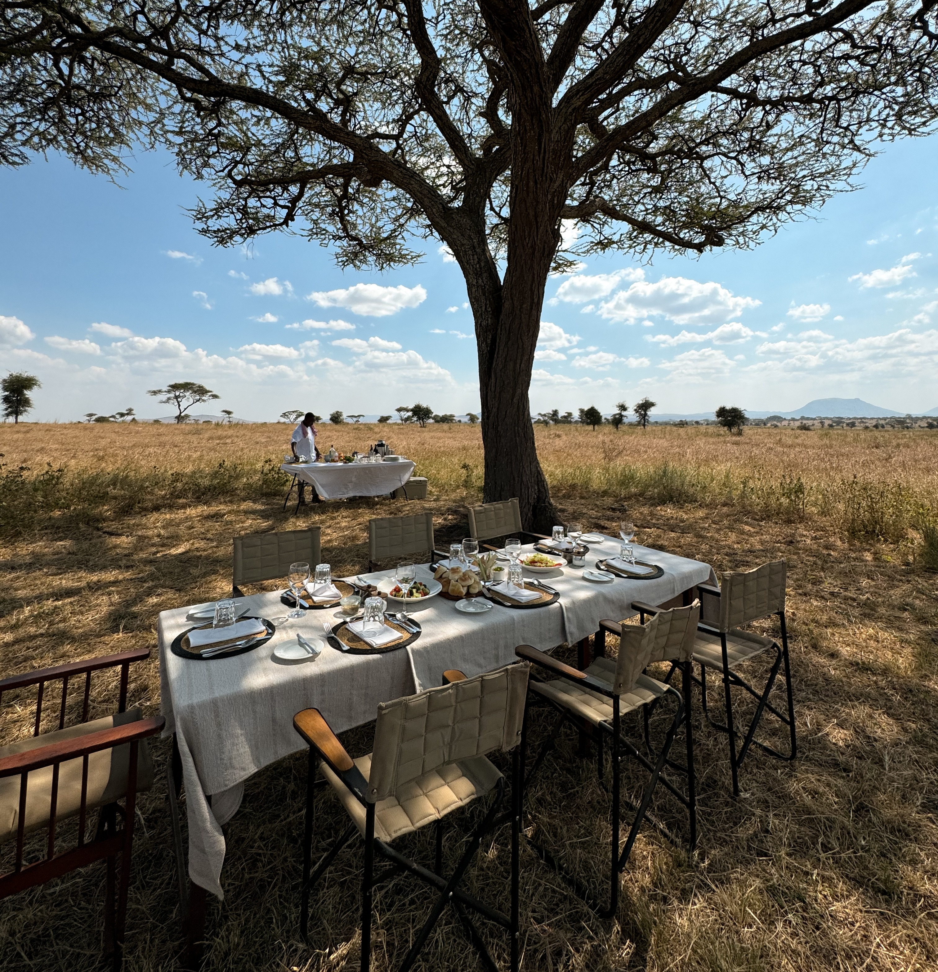 An outdoor lunch set up with table, white table cloth and wooden chairs in the shade of a large tree.