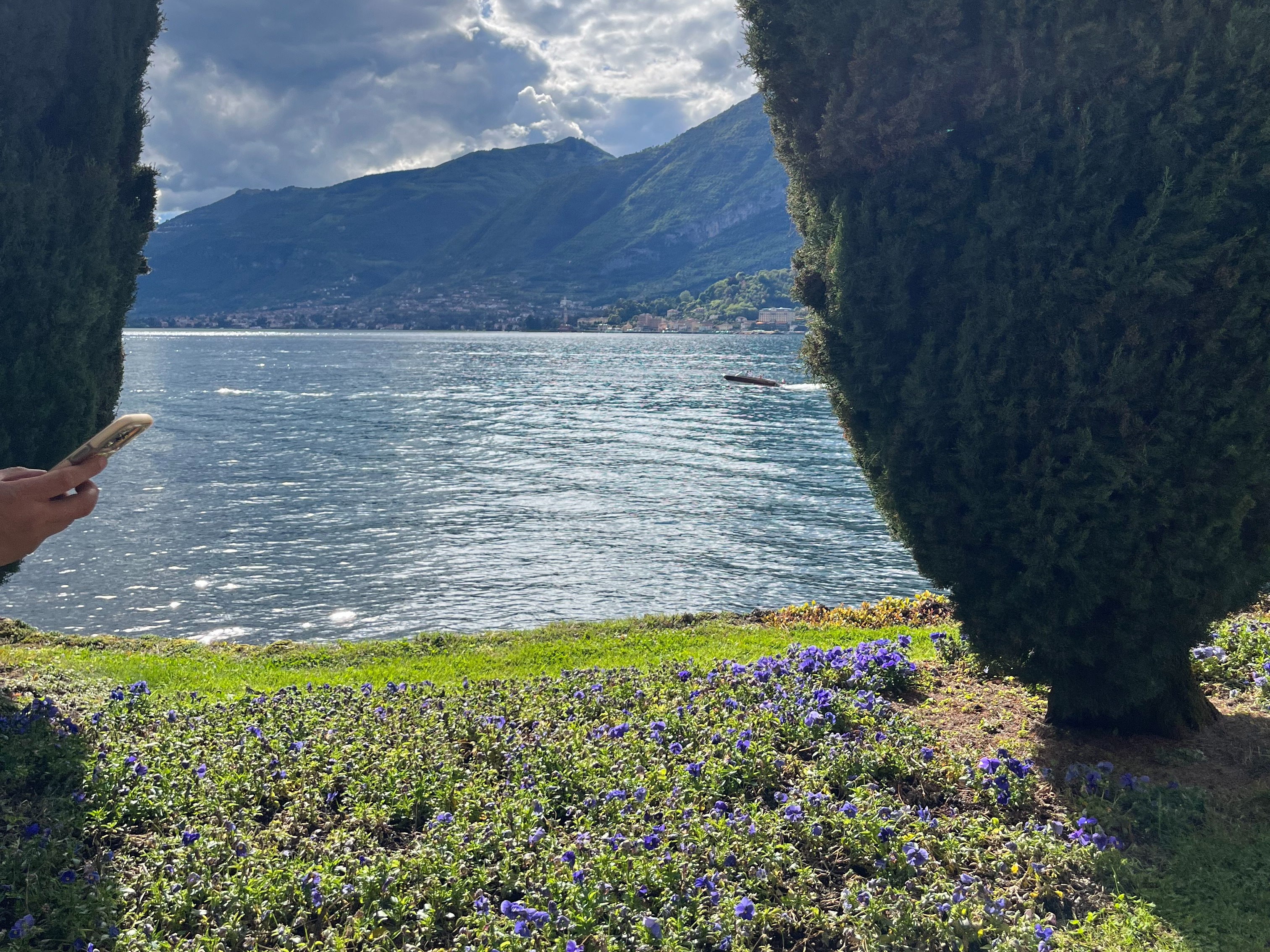 A view of a lakeside landscape with vibrant flora and a clear sky.