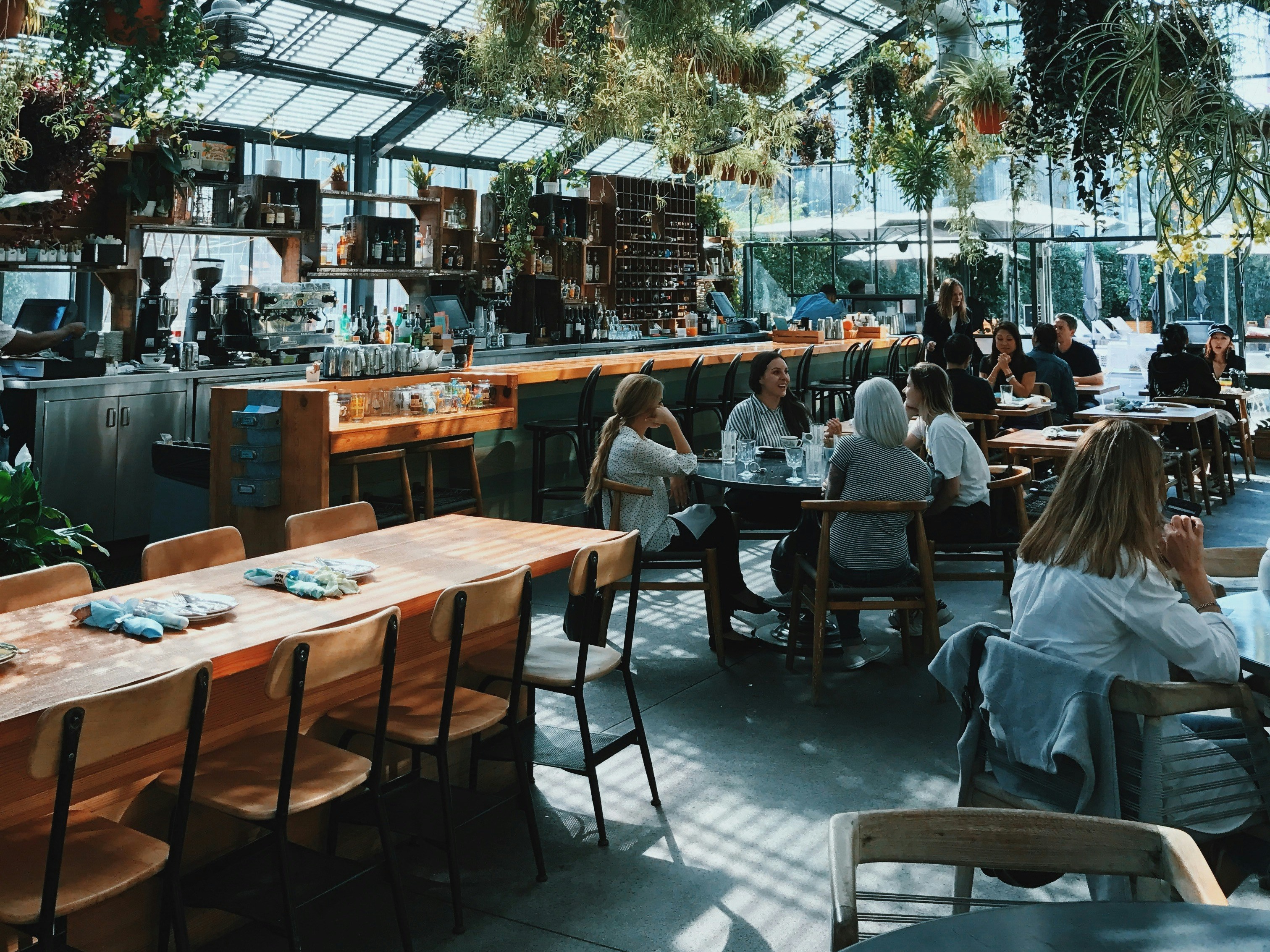The image captures the vibrant ambiance of an indoor café adorned with lush greenery and bathed in natural light from a glass ceiling.