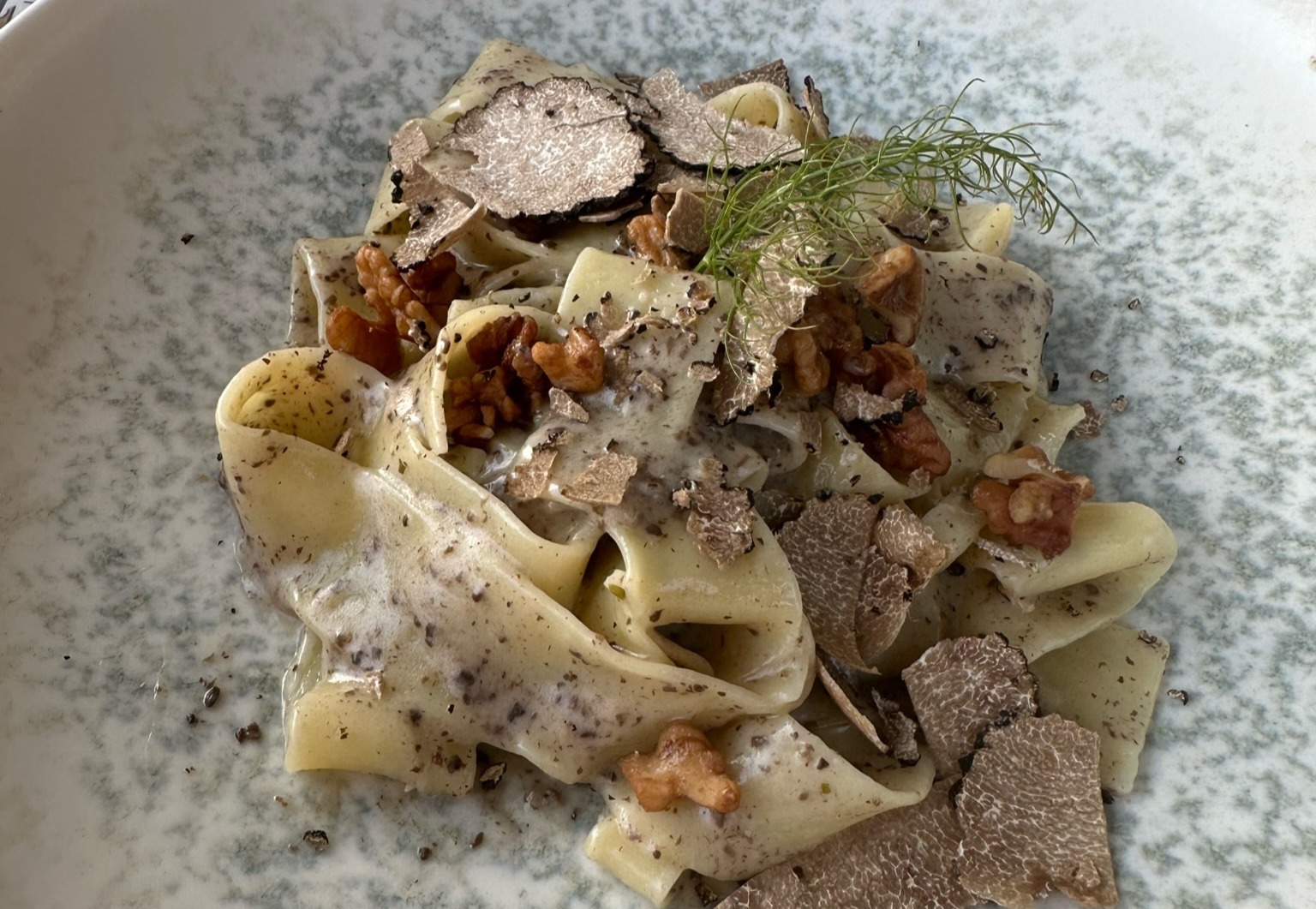 The image shows a plate of pasta with shaved truffles and herbs, suggesting a gourmet dish.