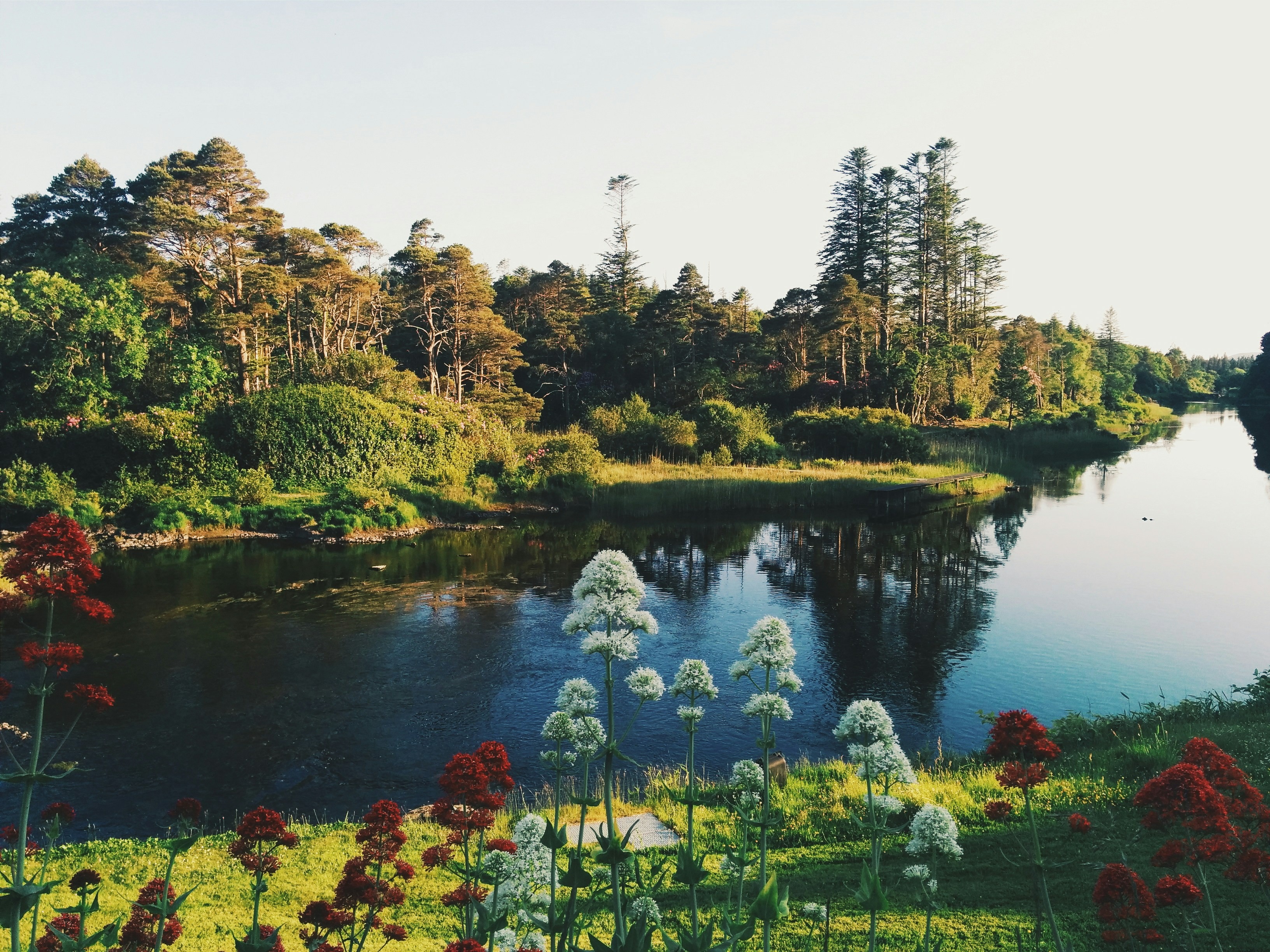 The image depicts a tranquil lakeside setting with lush vegetation and mirror-like water reflections.