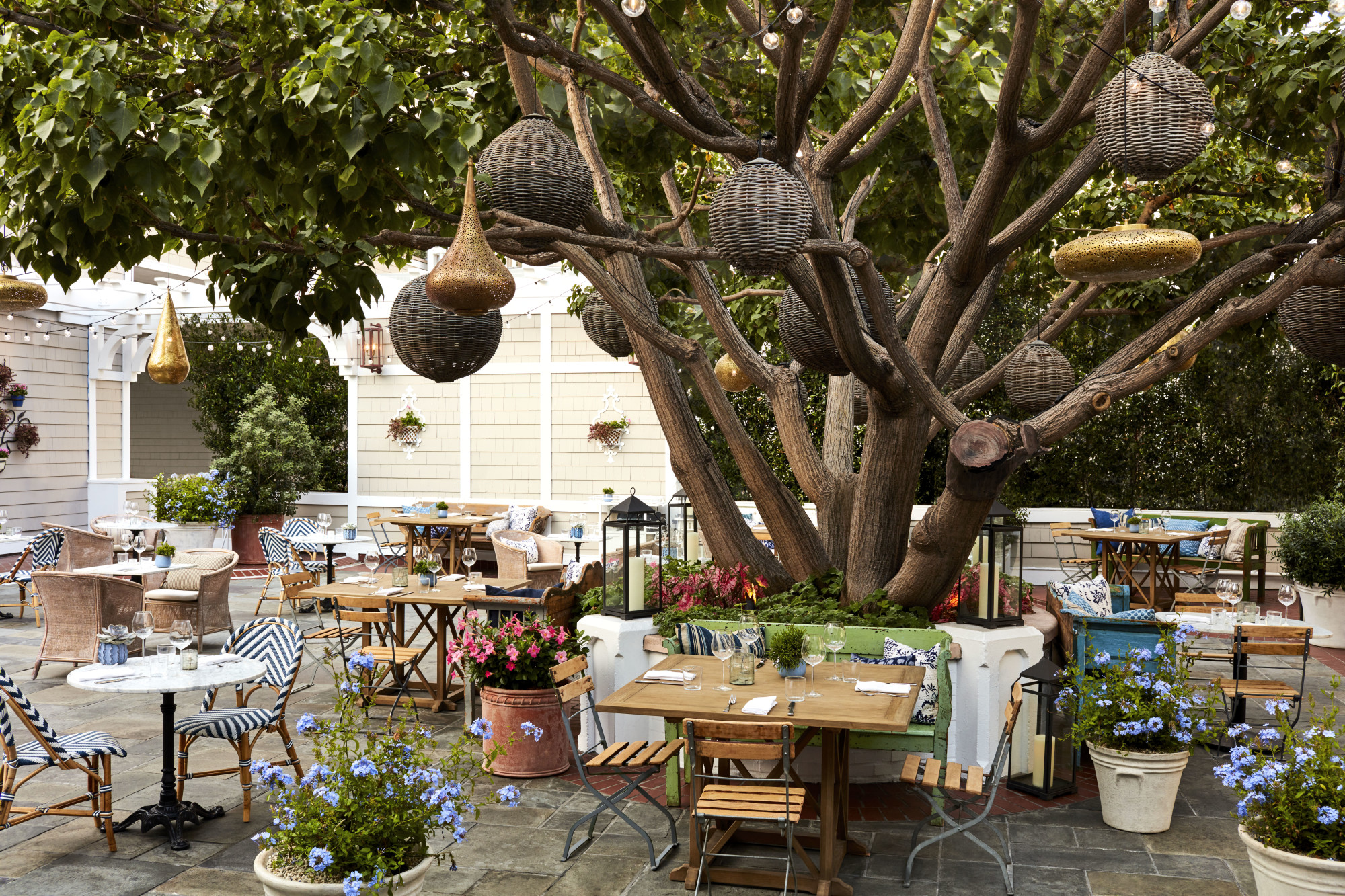 an outdoor restaurant centered on a big tree with wooden lanterns