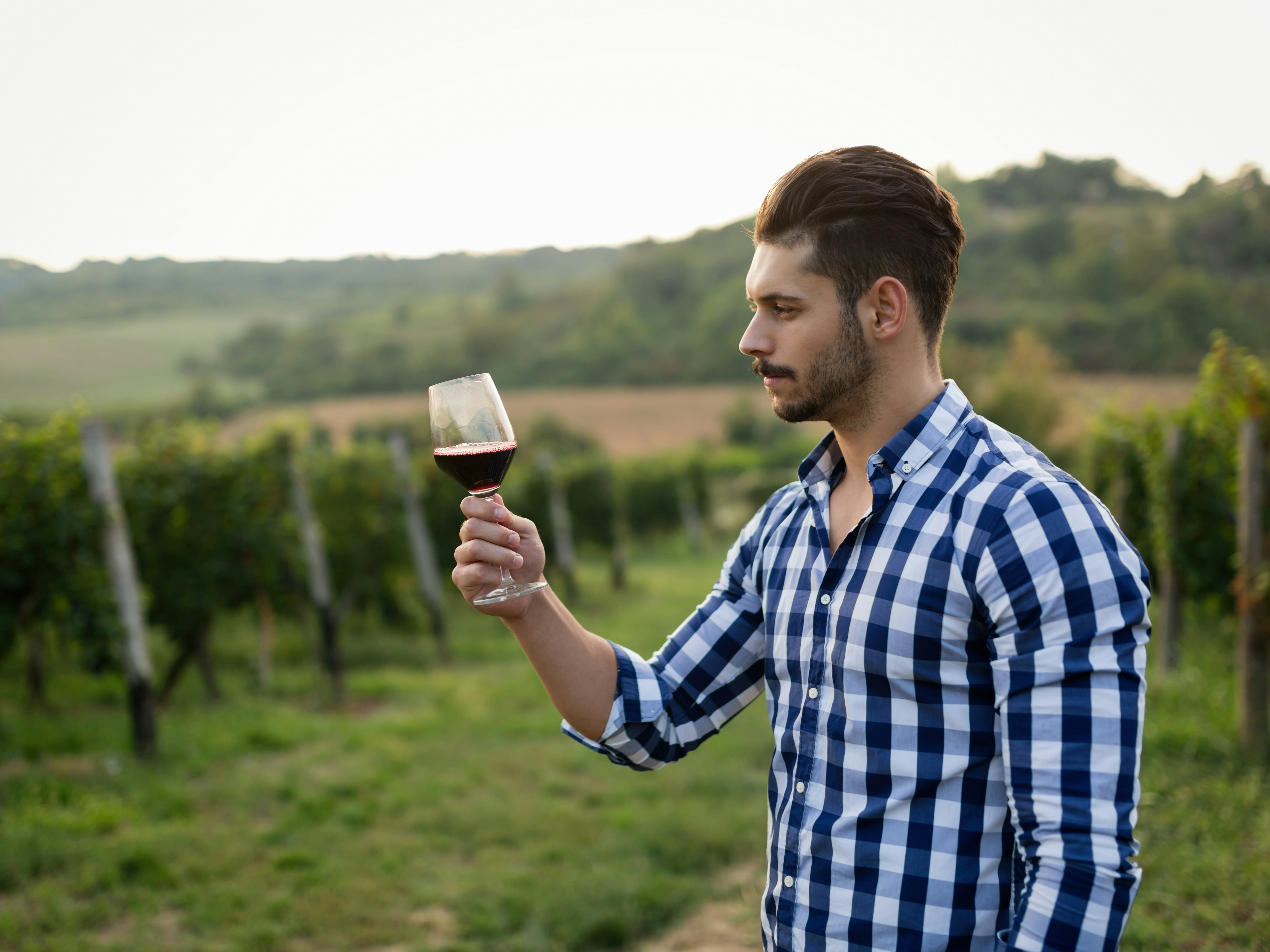 The image depicts an individual in a vineyard, holding a glass of red wine on a sunny day.