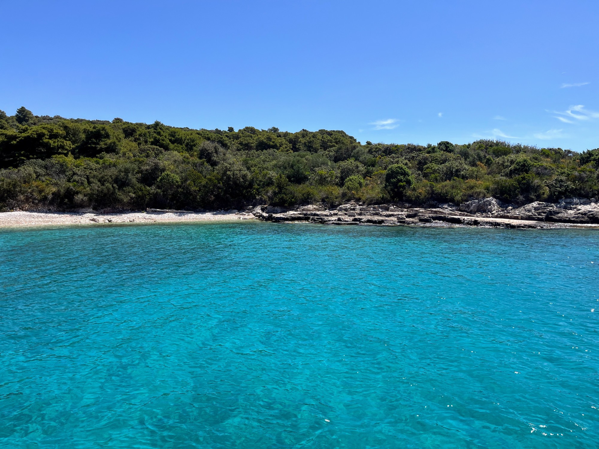 Crystal clear waters lap the sandy shore covered in dense foliage on a clear, cloudless day.