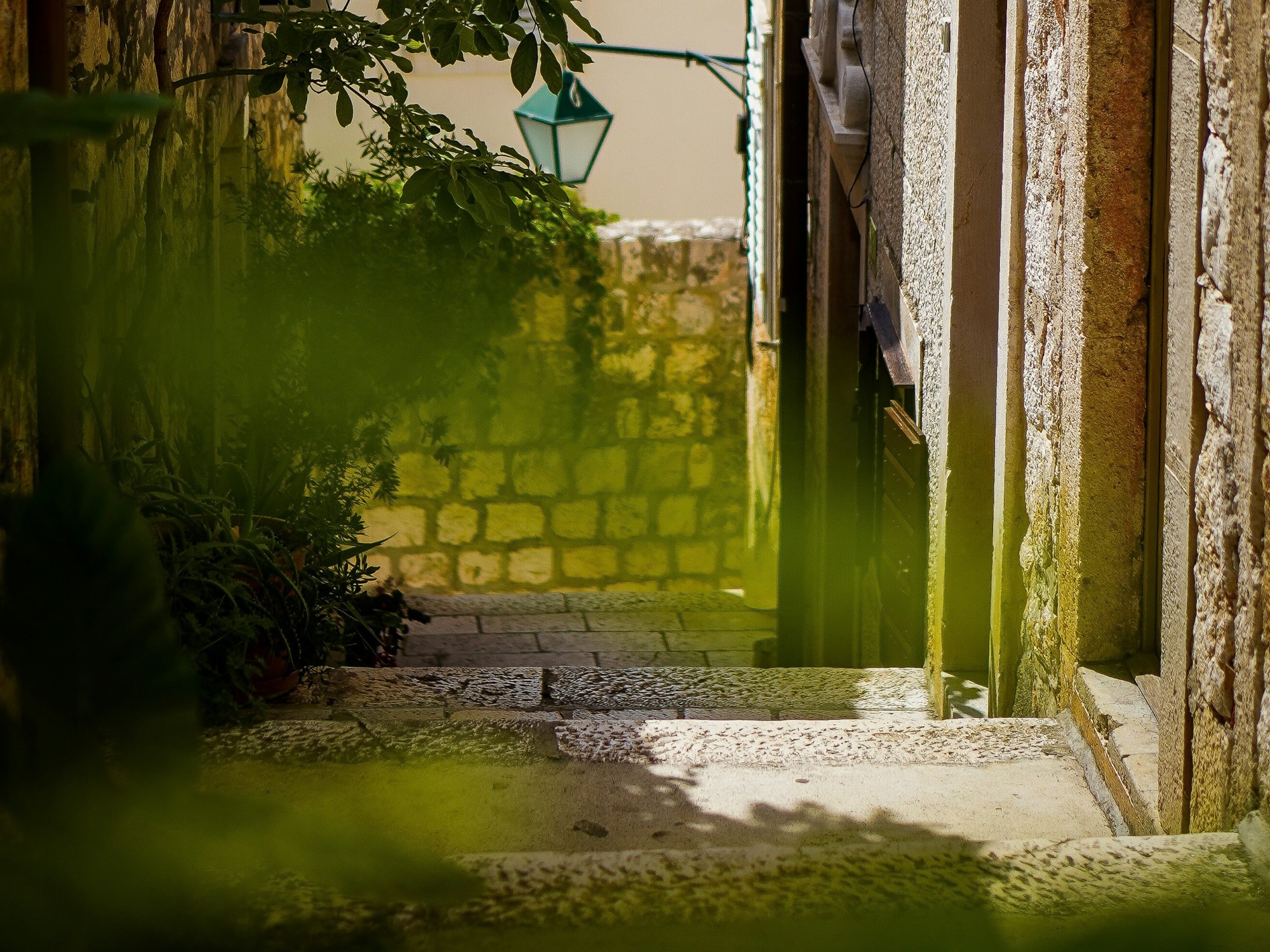 A narrow street between buildings winds down an outdoor staircase amid climbing vines on a sunny day.