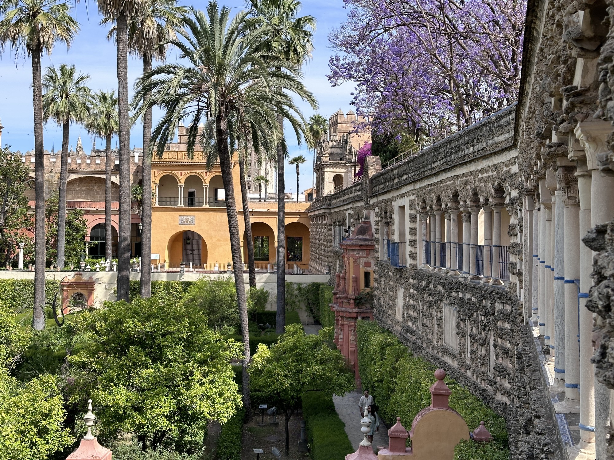 Historic buildings line a courtyard filled with palm trees reaching toward the clear sky on a sunny day.