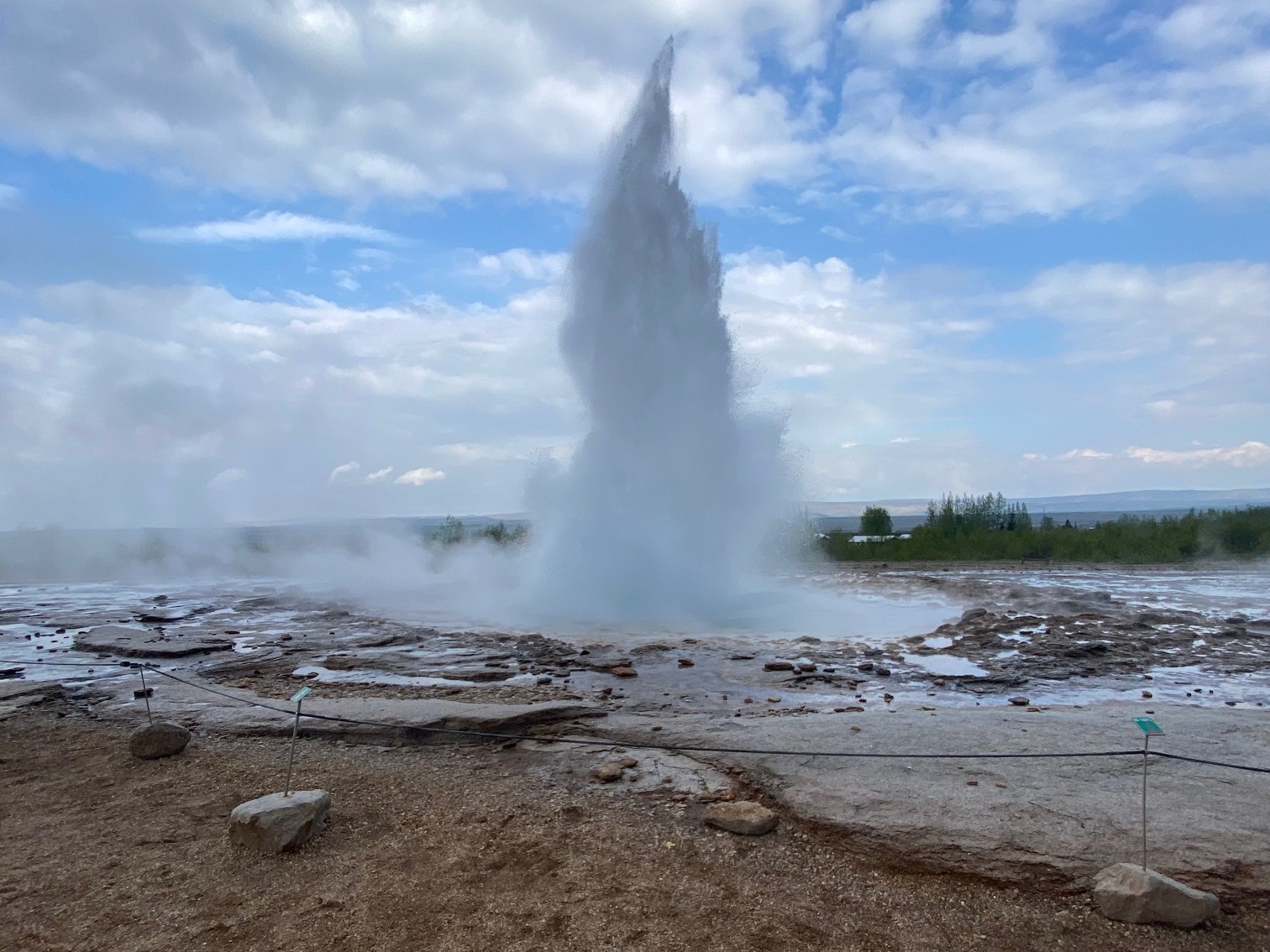 A large burst of water shooting out from a hot springs during the day time surrounded by rocky ground with foliage in the distance.