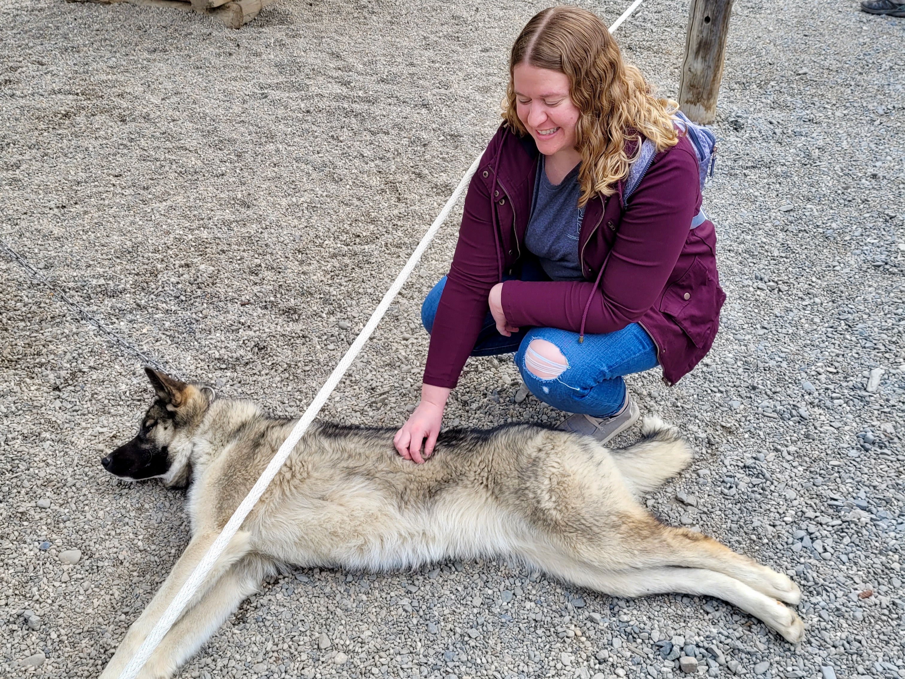 The image depicts a person affectionately petting a reclining dog on a gravel surface, with wooden items in the backdrop.