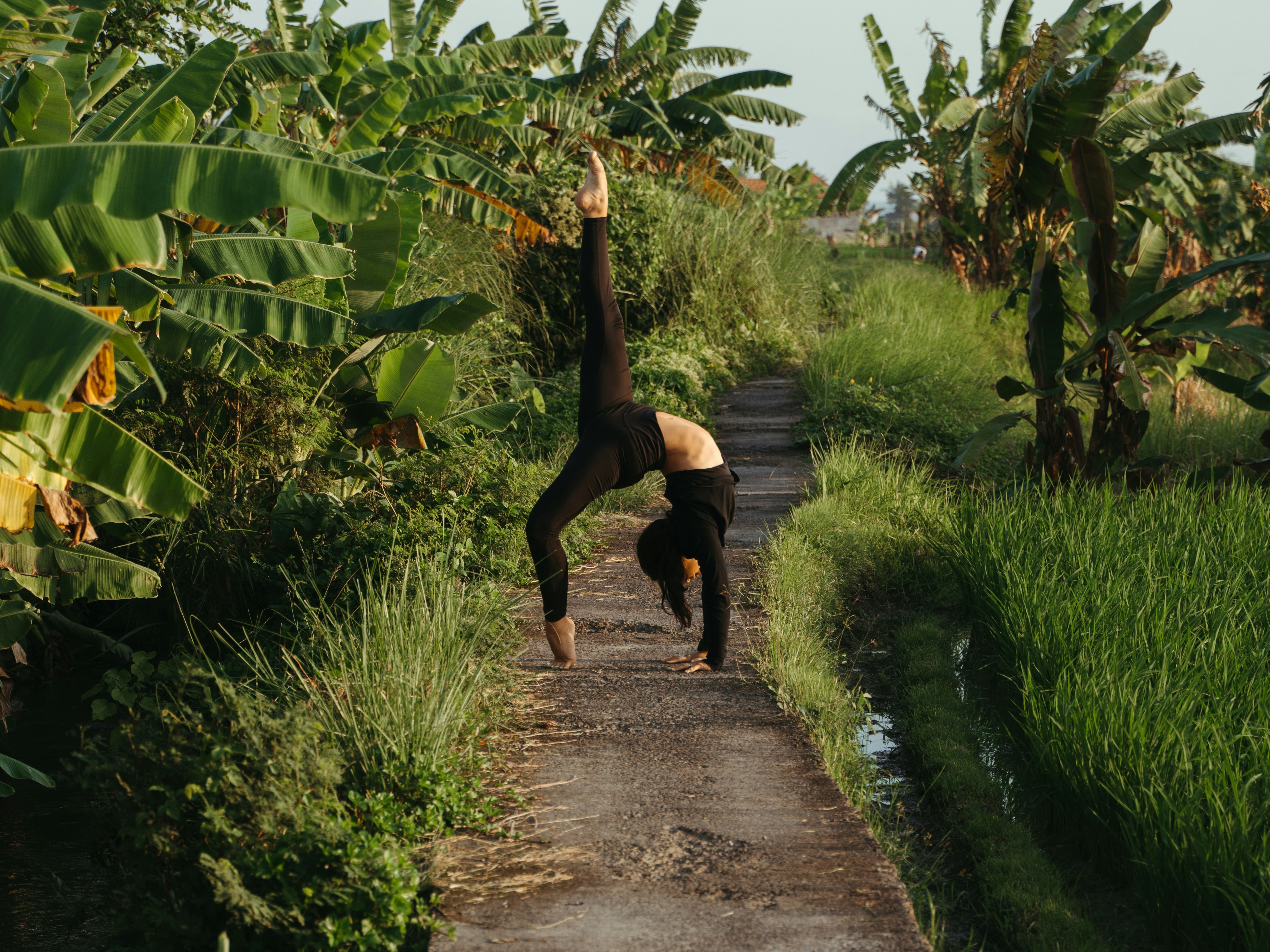 A person performs a one-legged yoga pose on a path surrounded by greenery, exuding balance and peace.