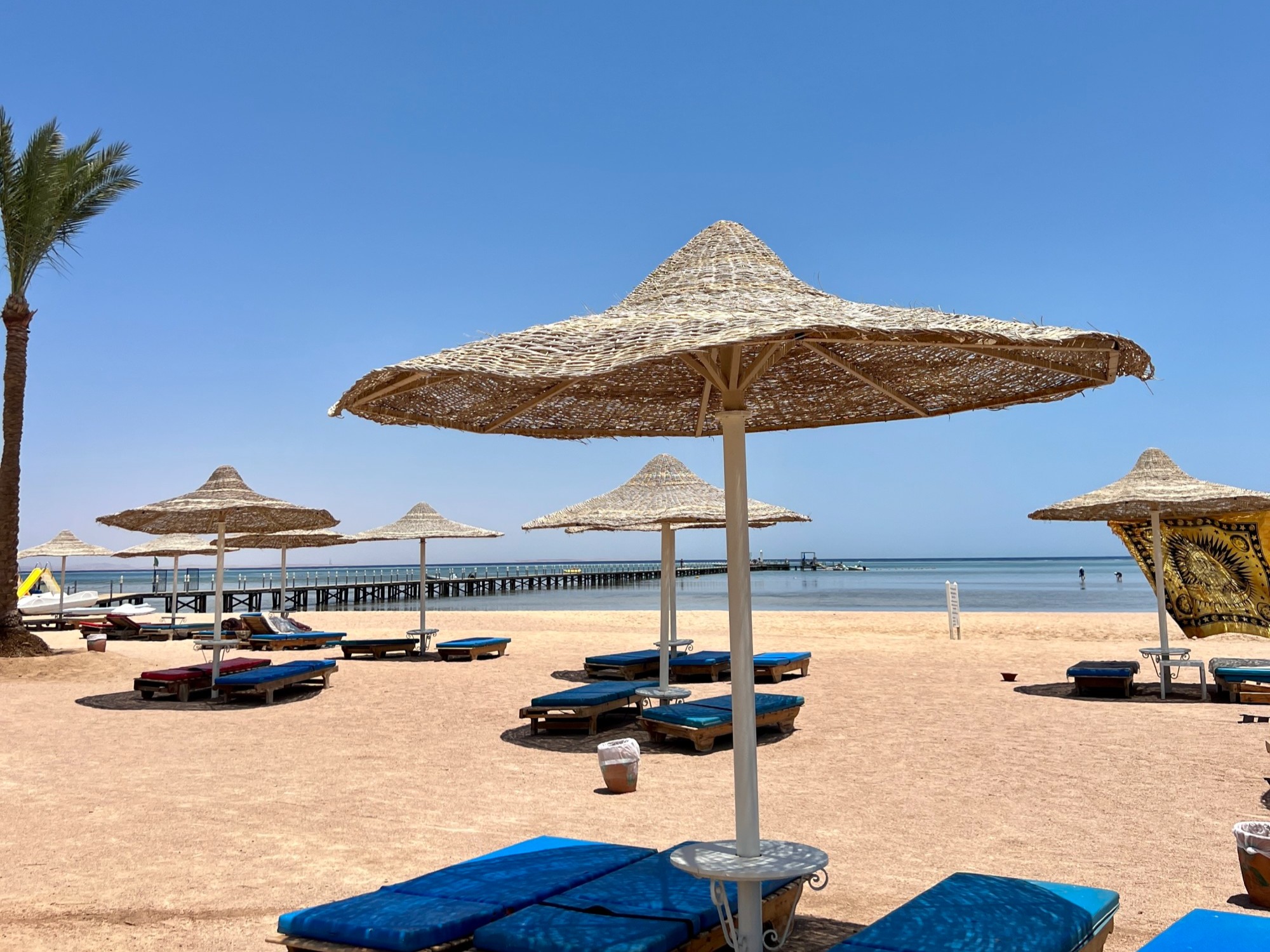 Blue beach chairs and umbrellas on a beach.