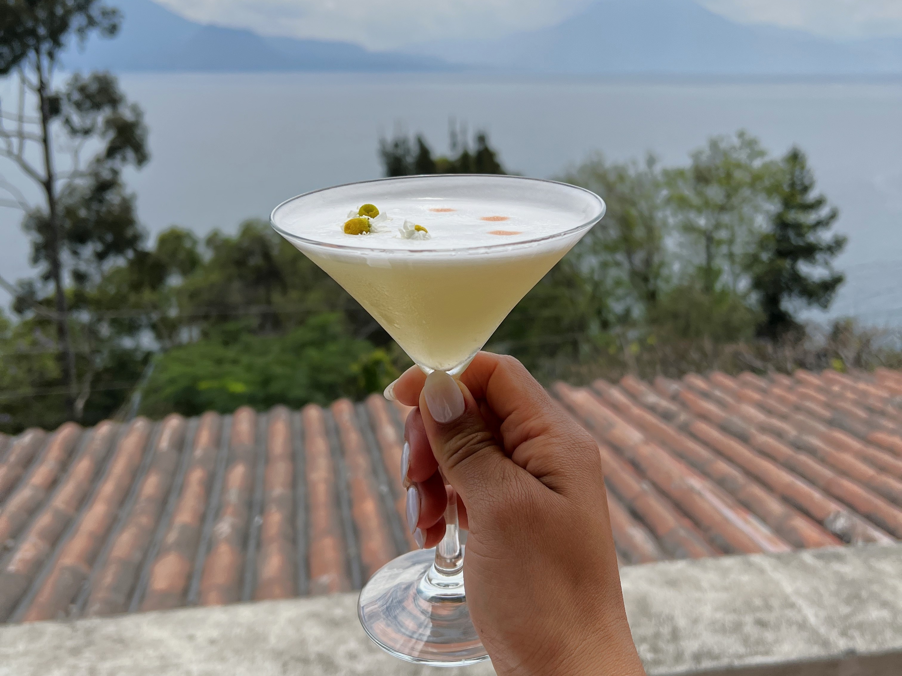 A hand presents a creamy cocktail against a serene lake and mountain vista.