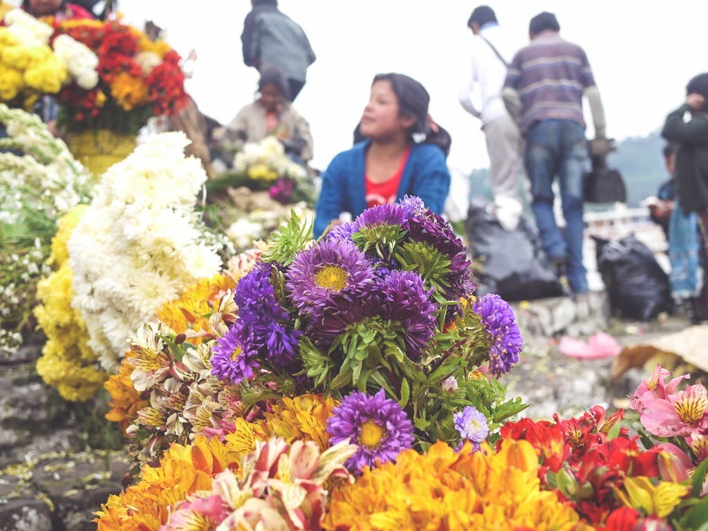 A kaleidoscope of flowers blooms against the backdrop of a lively market’s hustle and bustle.