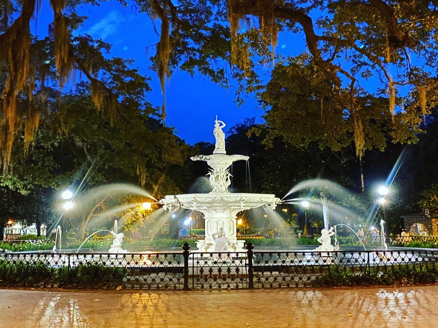 An illuminated fountain at nighttime encircled by trees draped with hanging moss