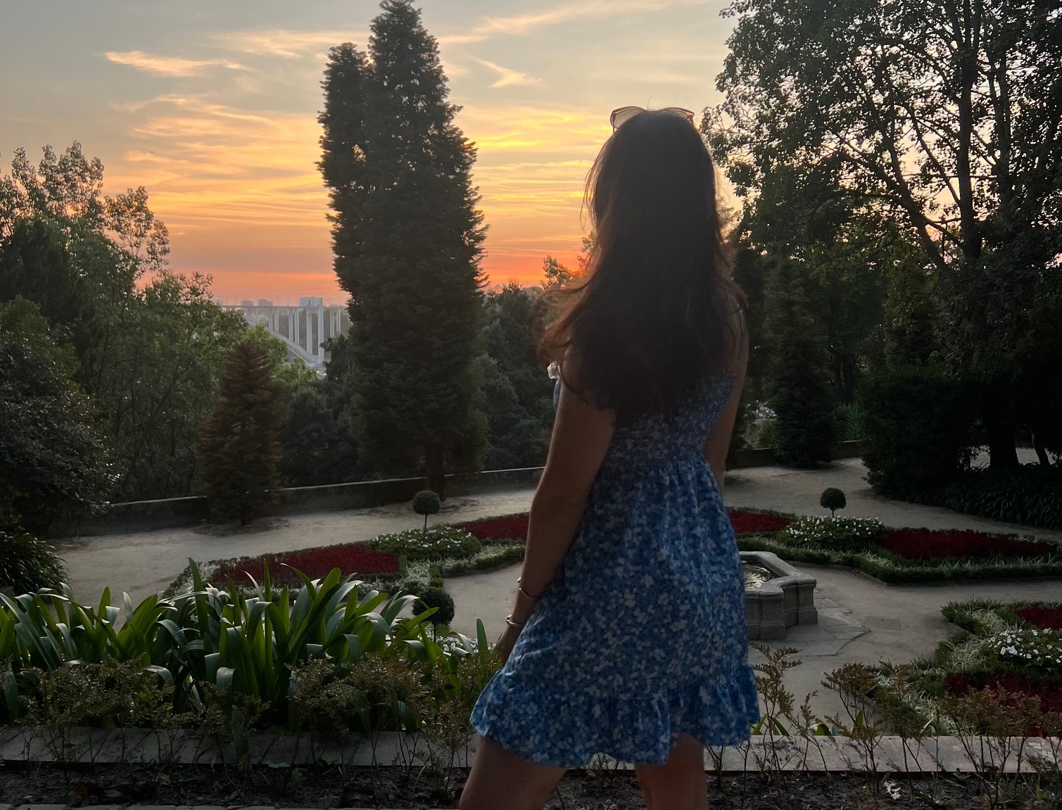 The image depicts a person’s silhouette against a vibrant sunset in a garden setting.
