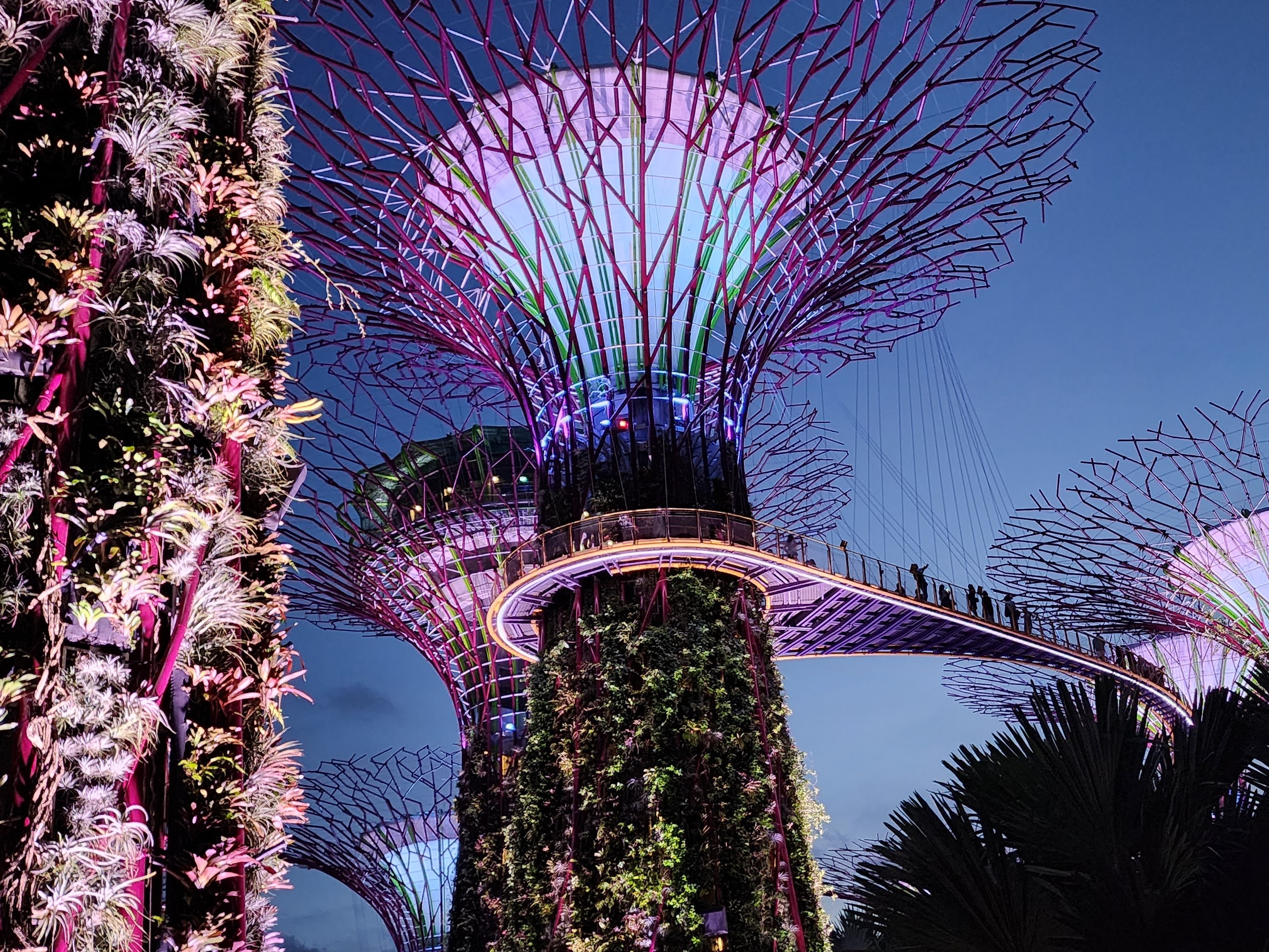 The image features illuminated, tree-like structures at night, creating a striking contrast against the dark sky.