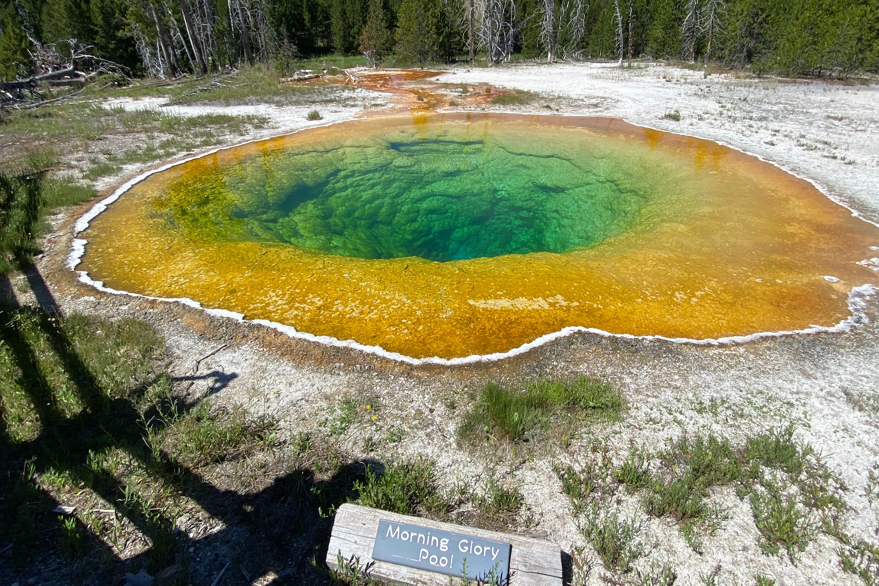 Morning Glory Pool is a breathtaking thermal spring, renowned for its vibrant blue hue and delicate, intricate mineral formations resembling a blooming flower at dawn.