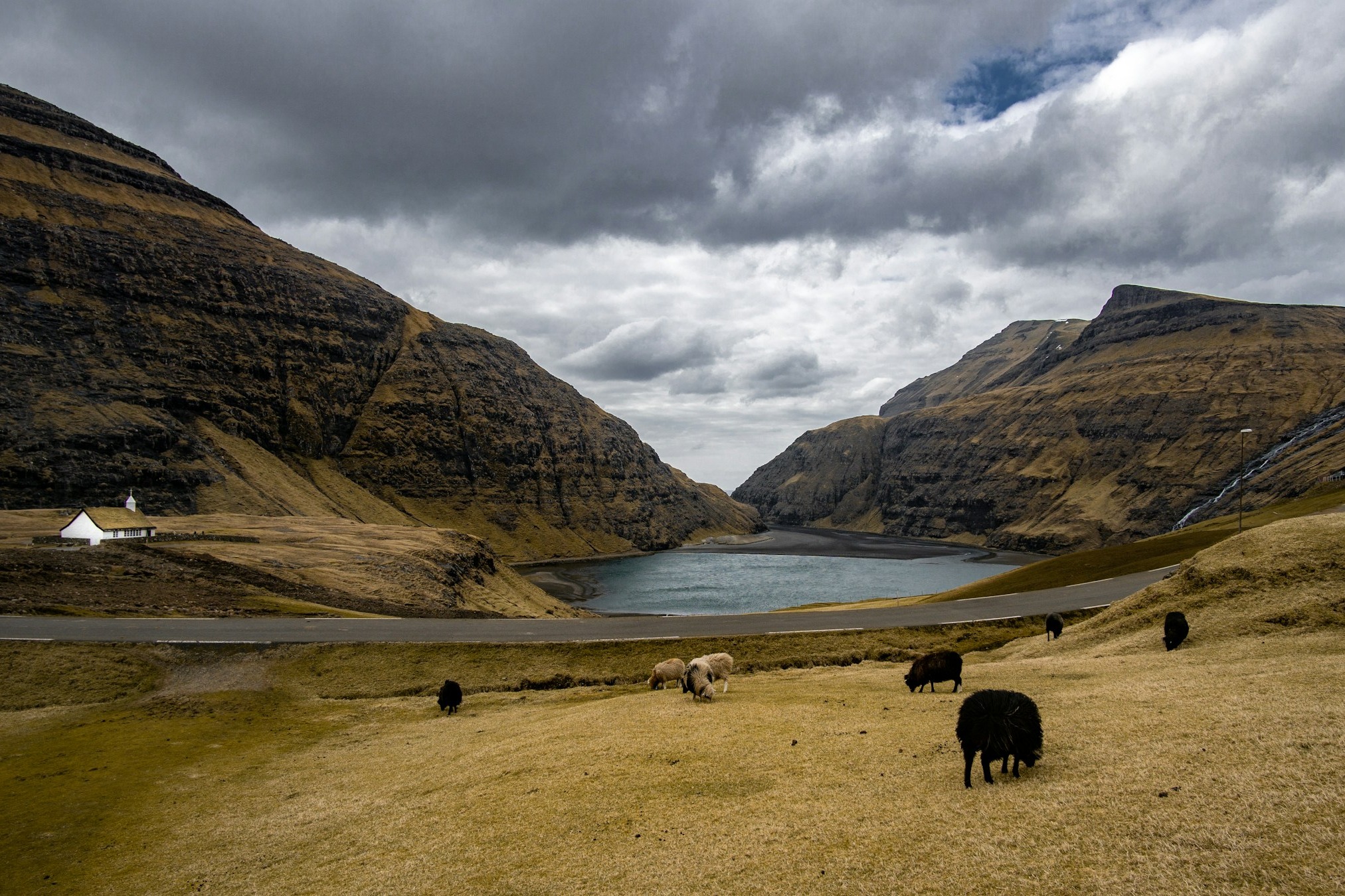A field with animals throughout, in front of a small pond