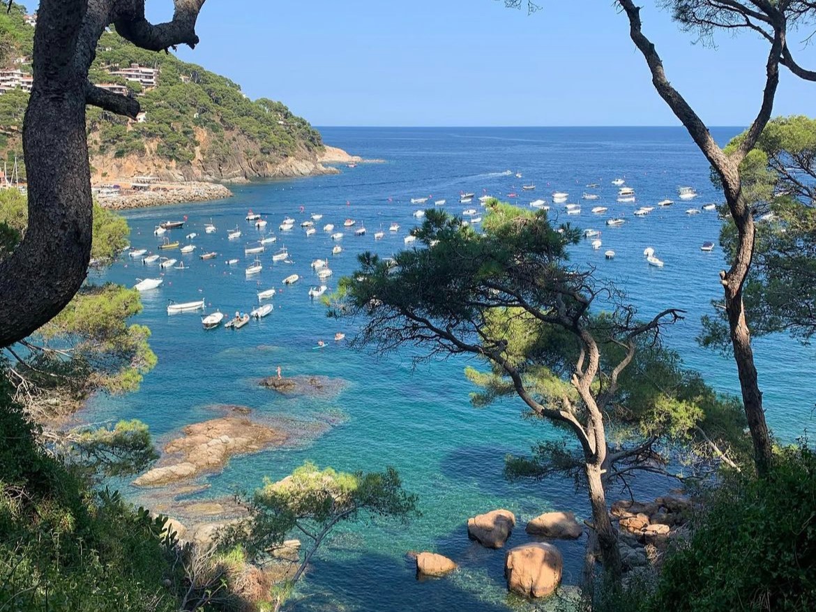A rocky cliff-side area next to a large body of water during the daytime