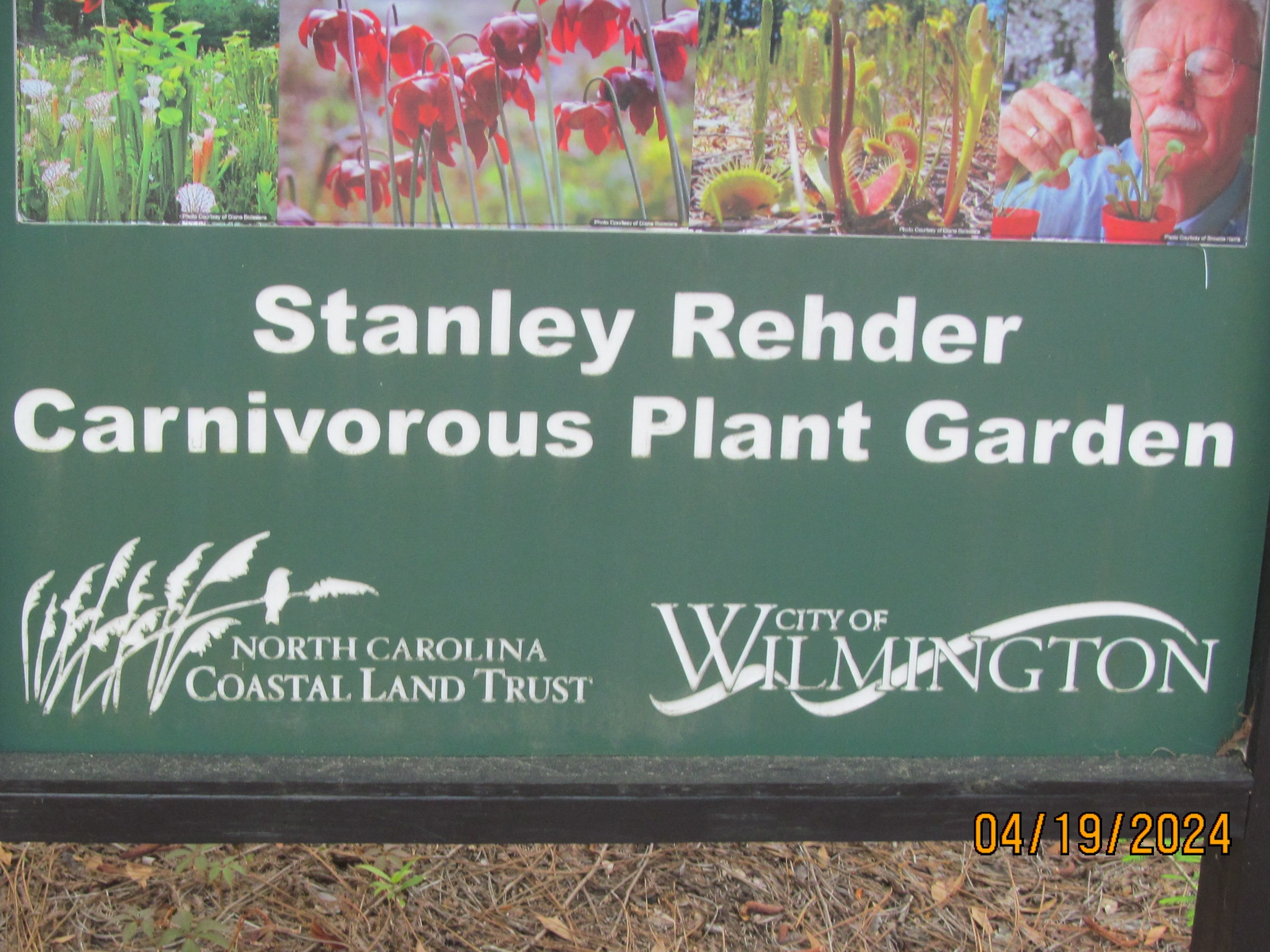 A green sign introduces the Stanley Rehder Carnivorous Plant Garden, a project of the North Carolina Coastal Land Trust and City of Wilmington.