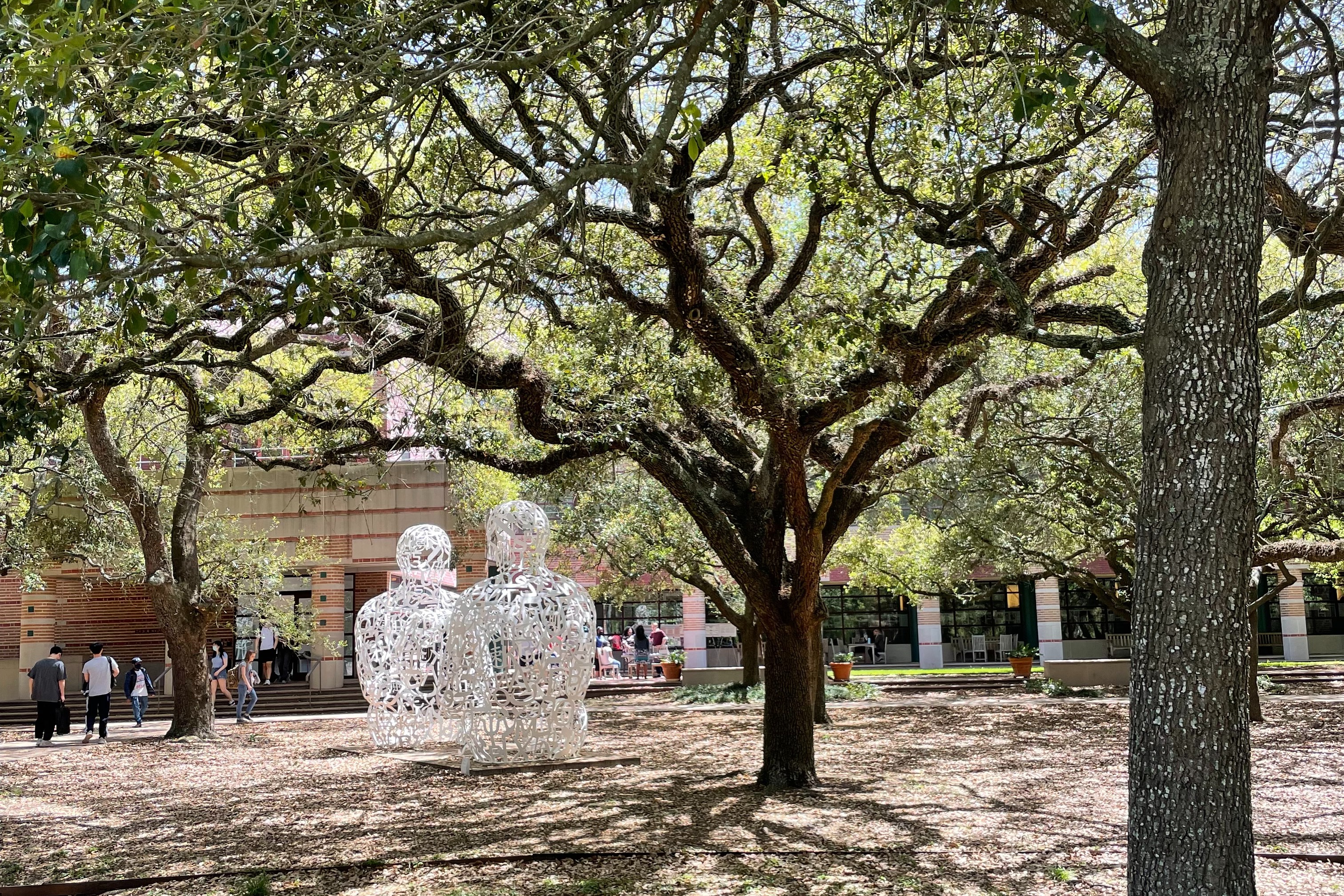 Statues were seen on the tour at Rice University.