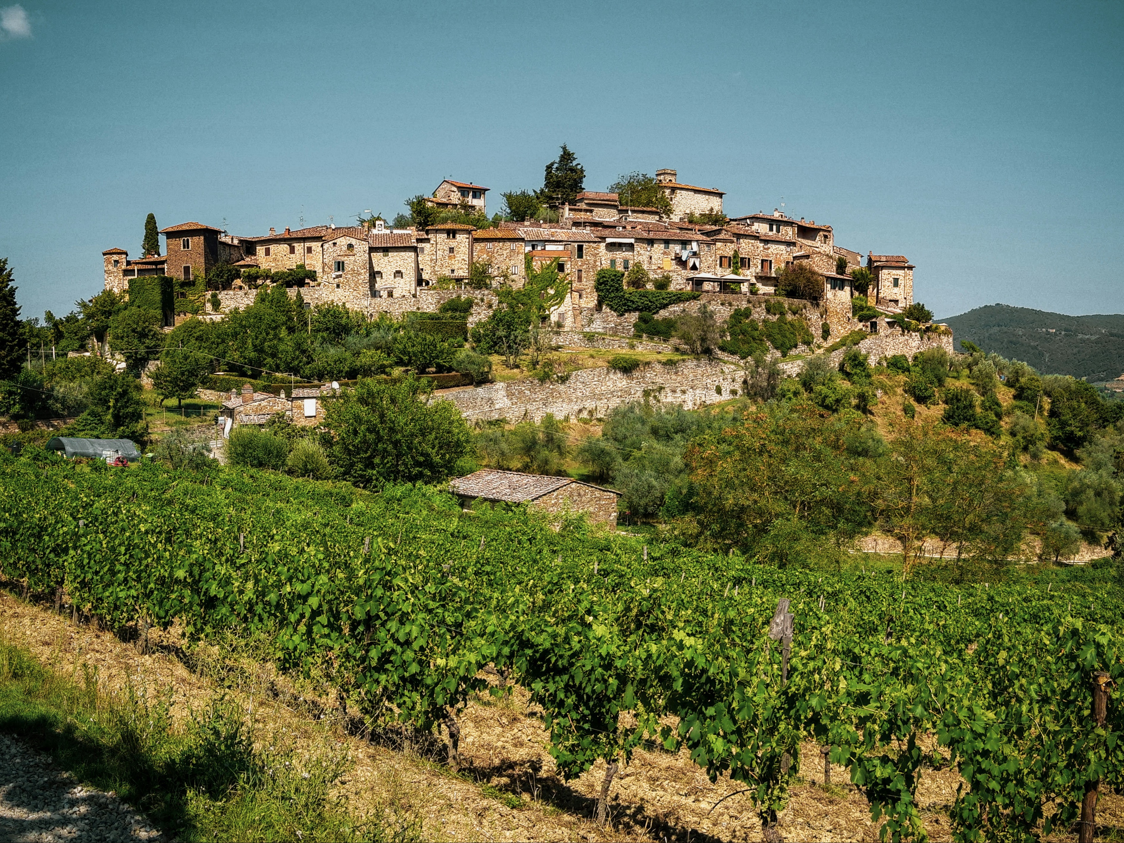The image showcases a picturesque hilltop village encircled by verdant vineyards, epitomizing rustic charm and natural beauty.