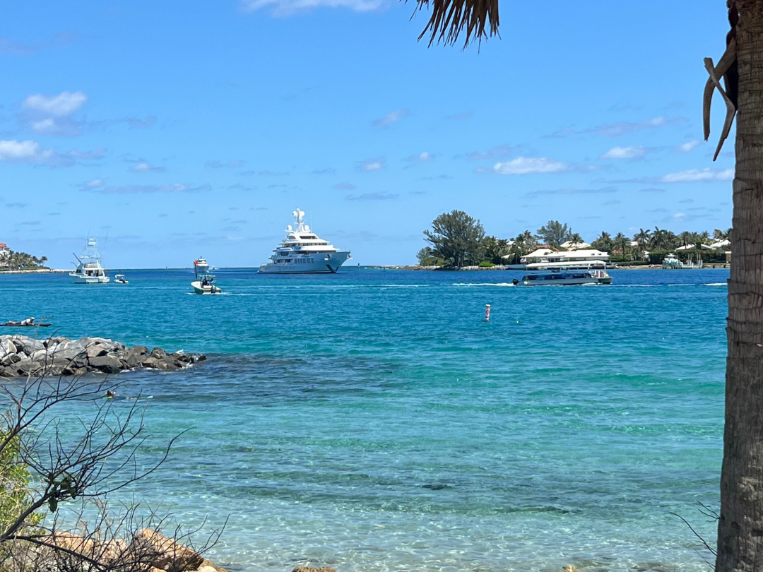 A view of the baby-blue ocean on a sunny day, with different sized boats, palm trees, and a clear sky.