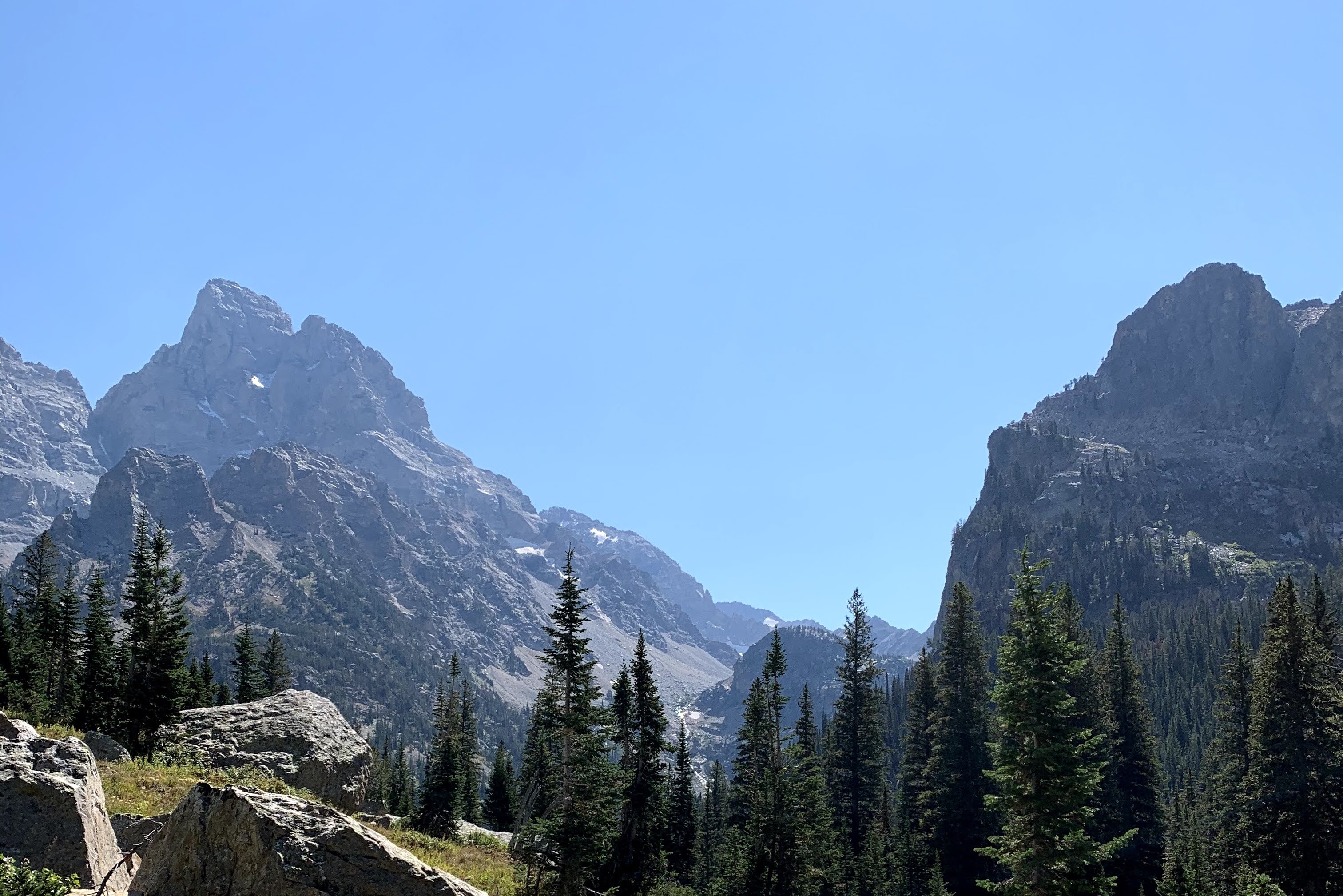 Mountains behind evergreen trees and rocks.