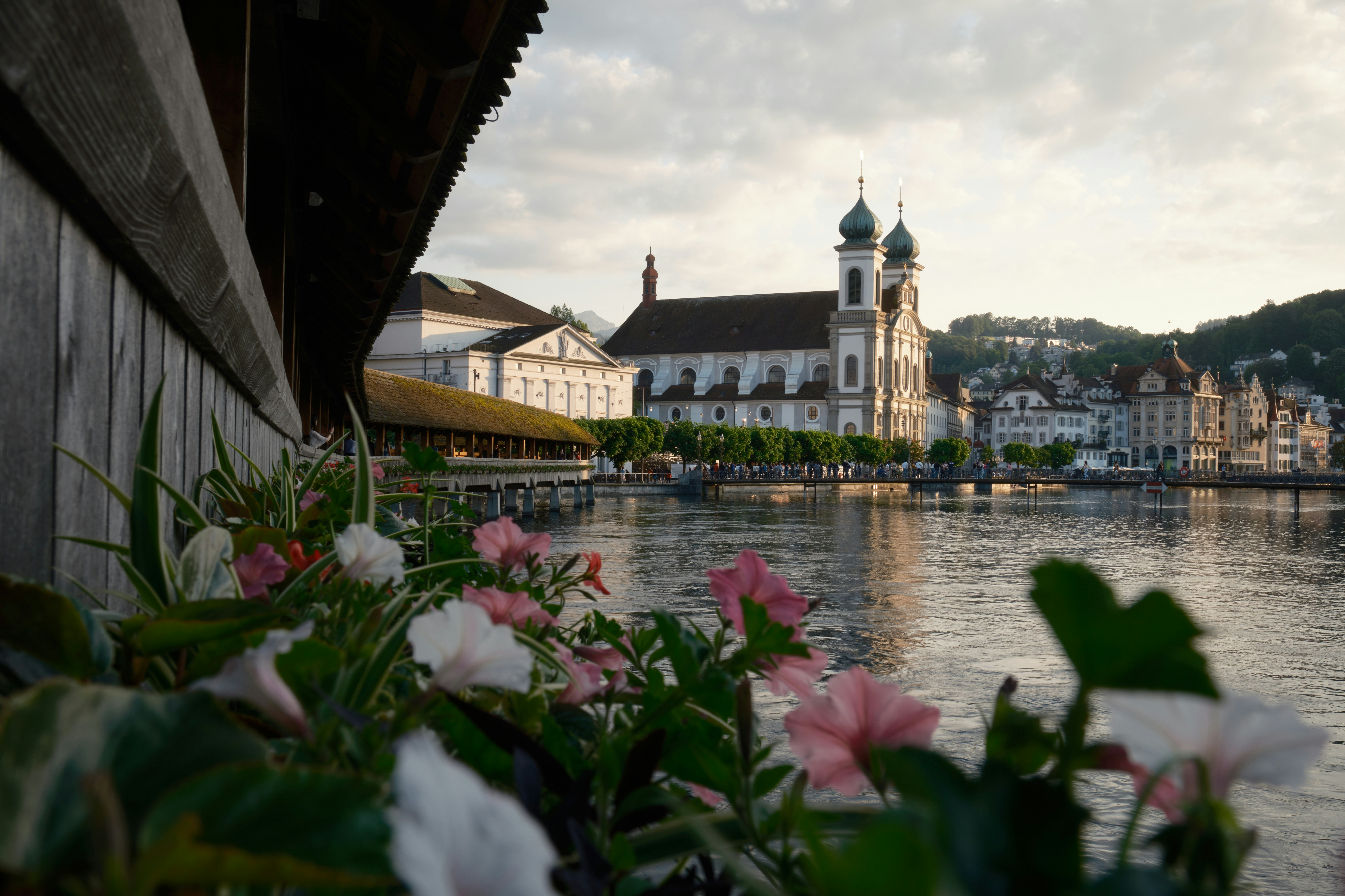 A view of flowers, a lake and European style buildings in the background.